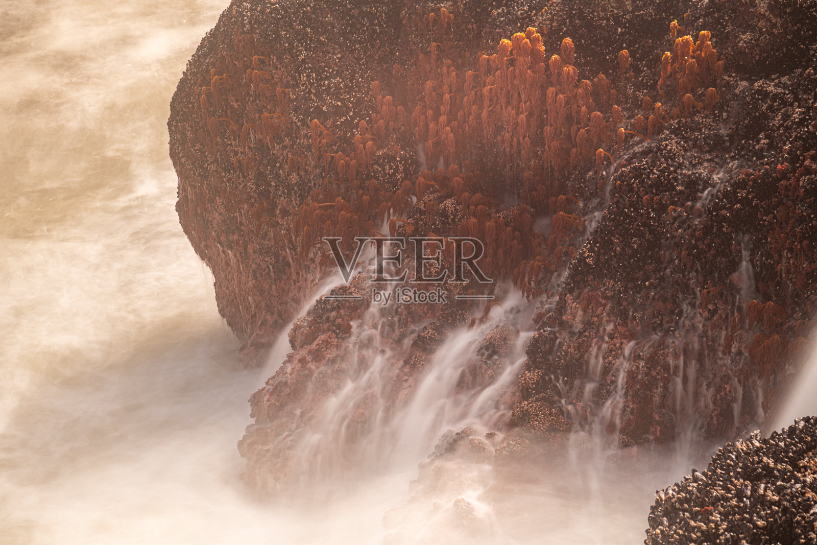 瀑布山——俄勒冈州游艇的特写照片摄影图片
