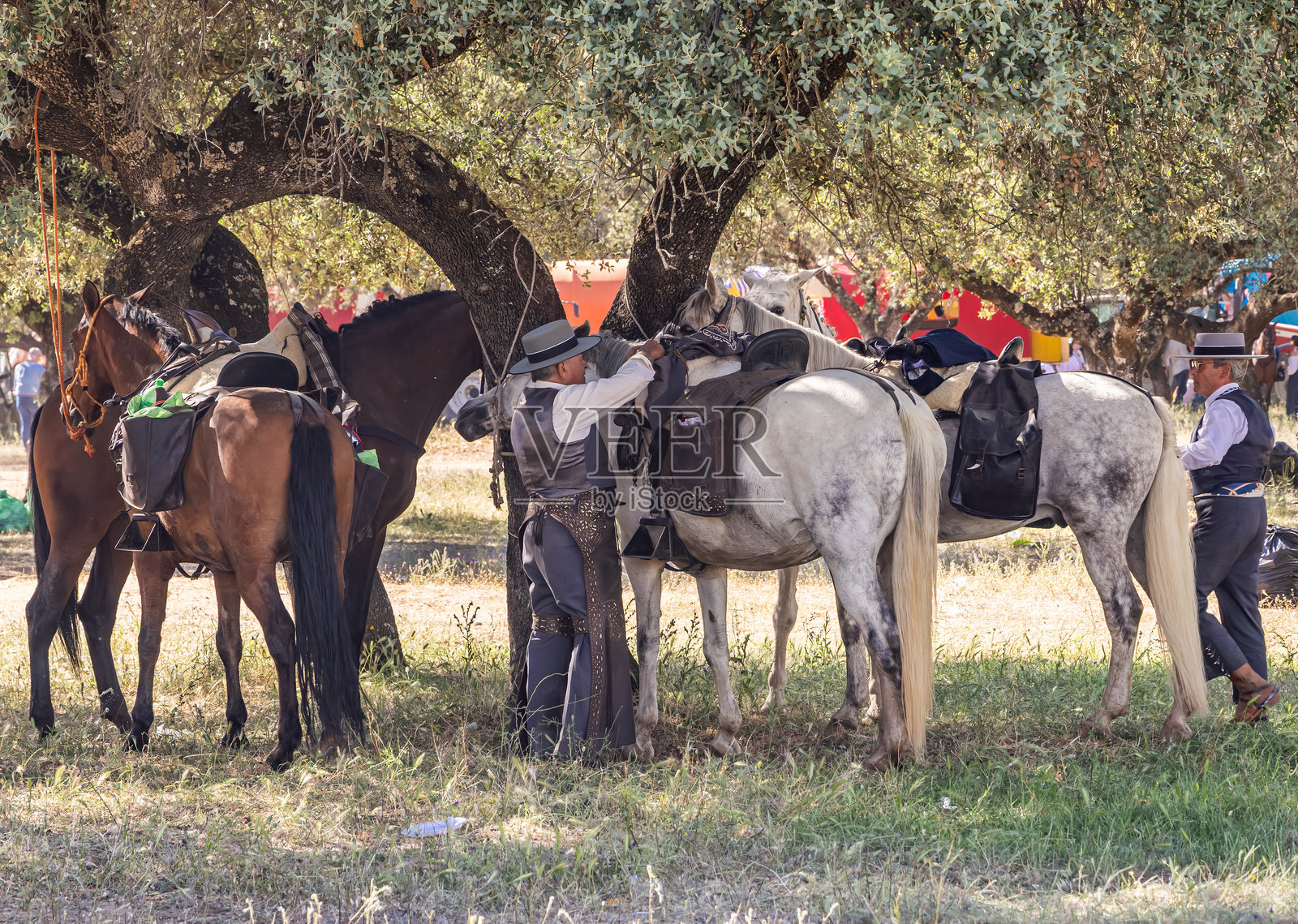 在安杜哈尔的一个宗教节日中，一名身着传统服装的男子牵着马走在游行队伍的最后。照片摄影图片