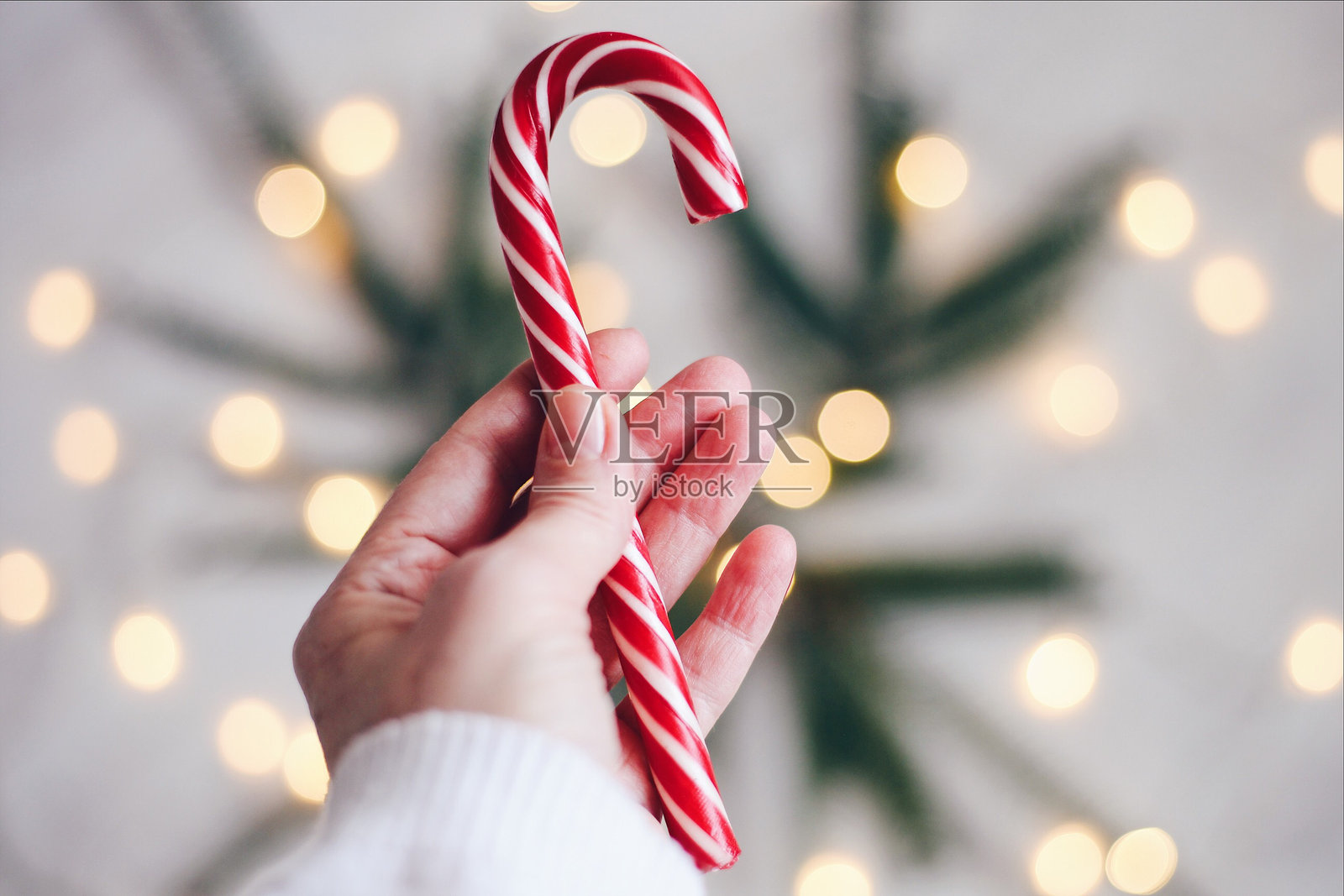 圣诞节期间，家中人手握拐杖糖的特写照片摄影图片