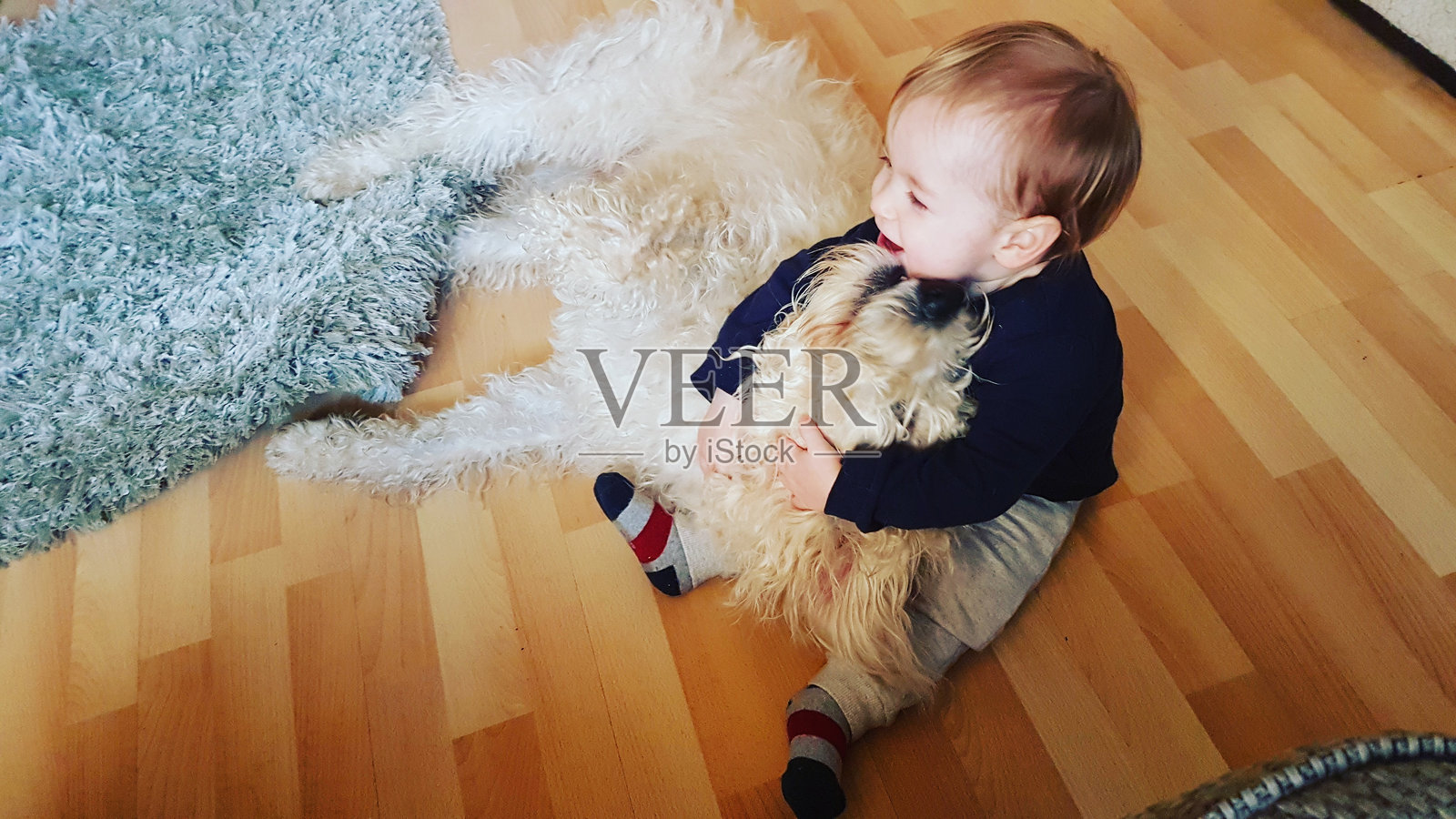 可爱的小男孩在家里拥抱小狗的高角度照片照片摄影图片