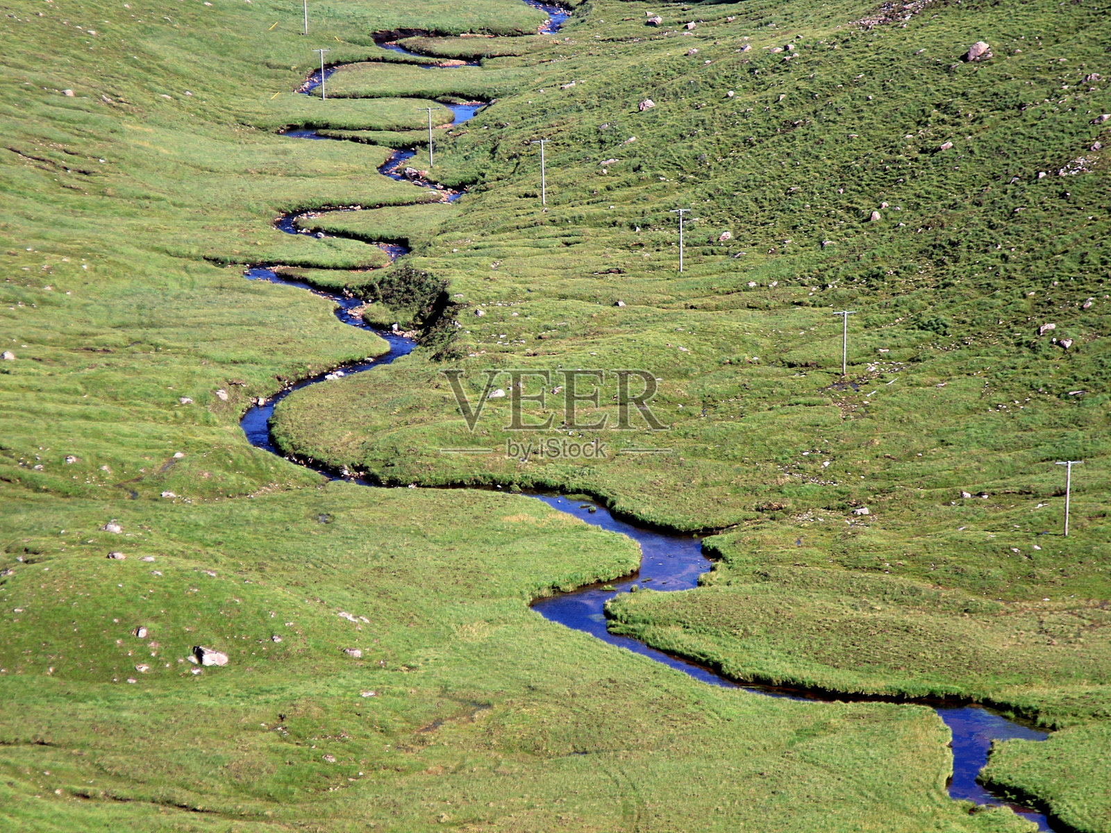 稻田的高角度视角照片摄影图片