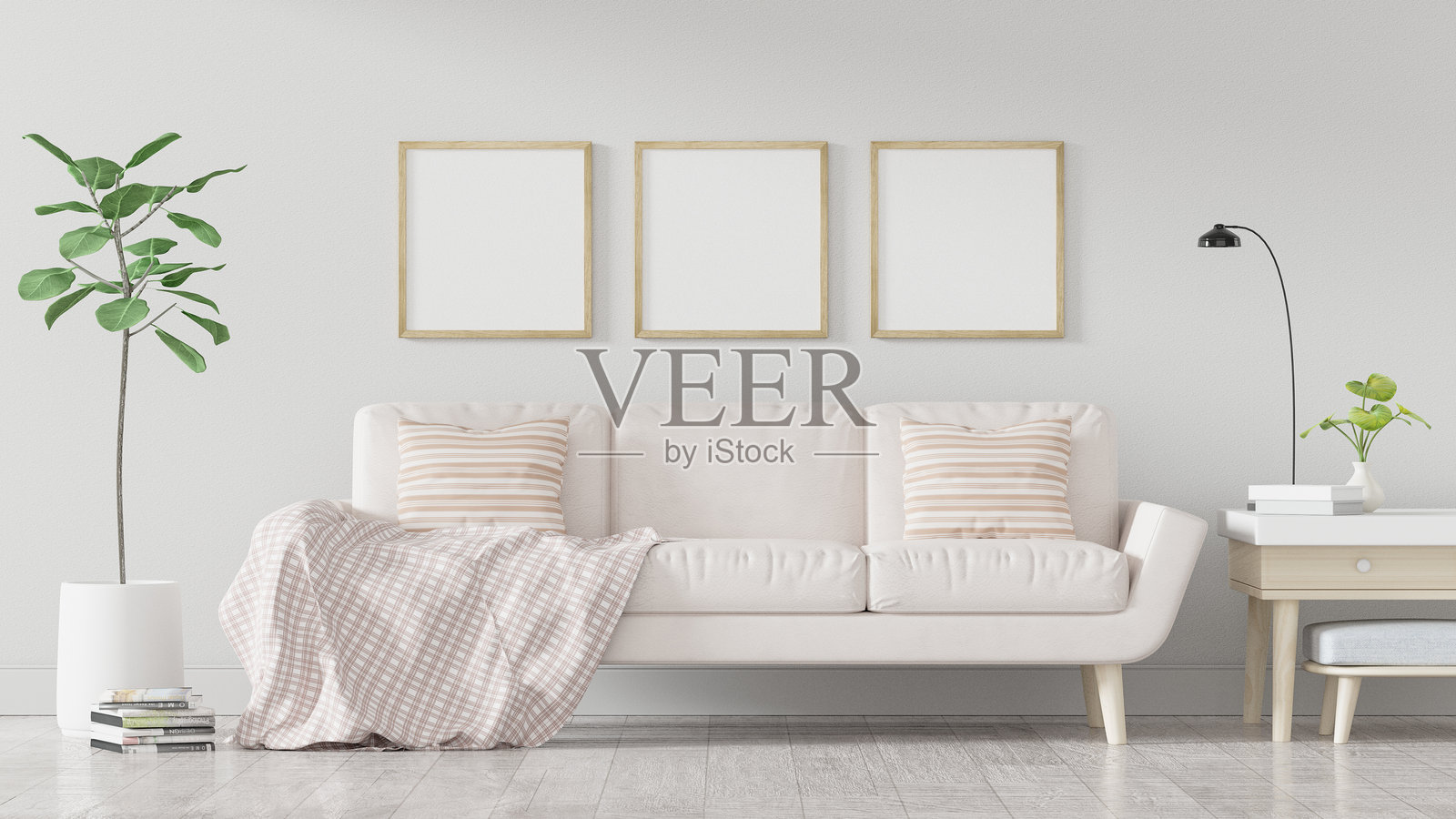 家里沙发旁的盆栽植物照片摄影图片