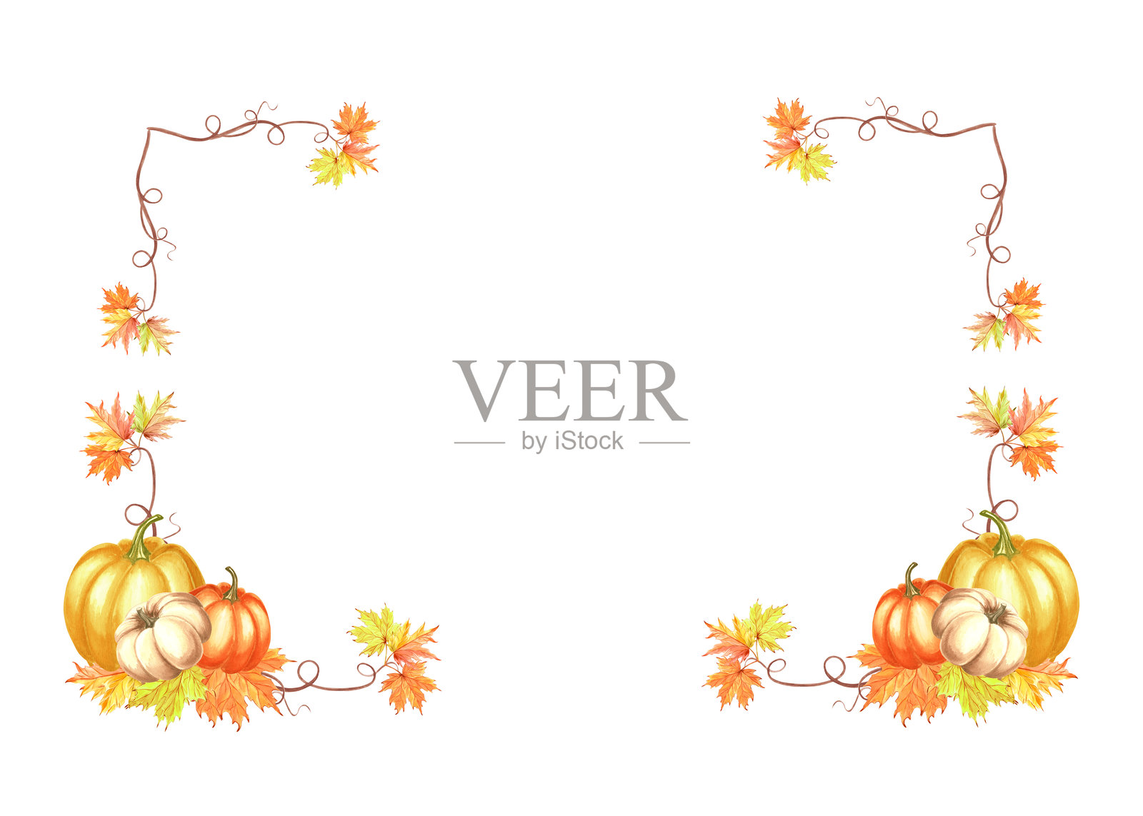 树枝上挂着枫叶的秋南瓜。秋天的框架水平收获或万圣节。手绘水彩插图孤立。自然模板与复制空间卡片，感恩节，销售。插画图片素材