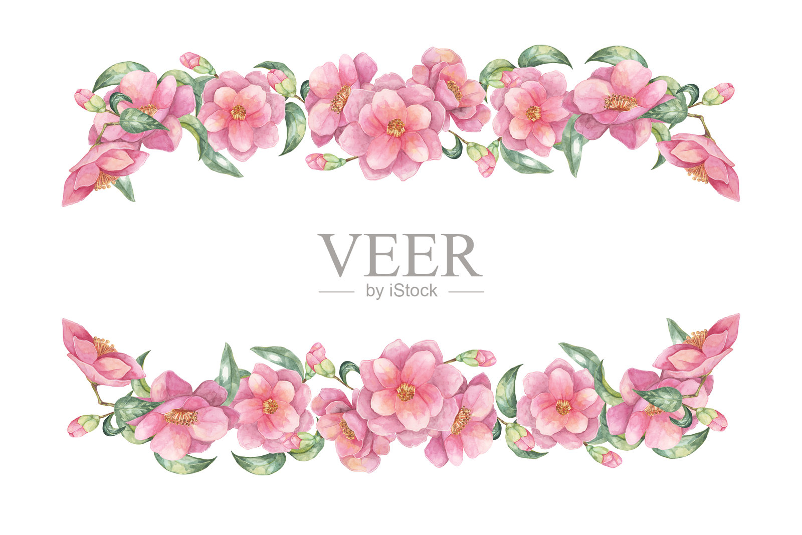 由精致的粉色茶花、绿叶和花蕾组成的矩形框架。山茶日本水彩画婚礼请柬插画图片素材