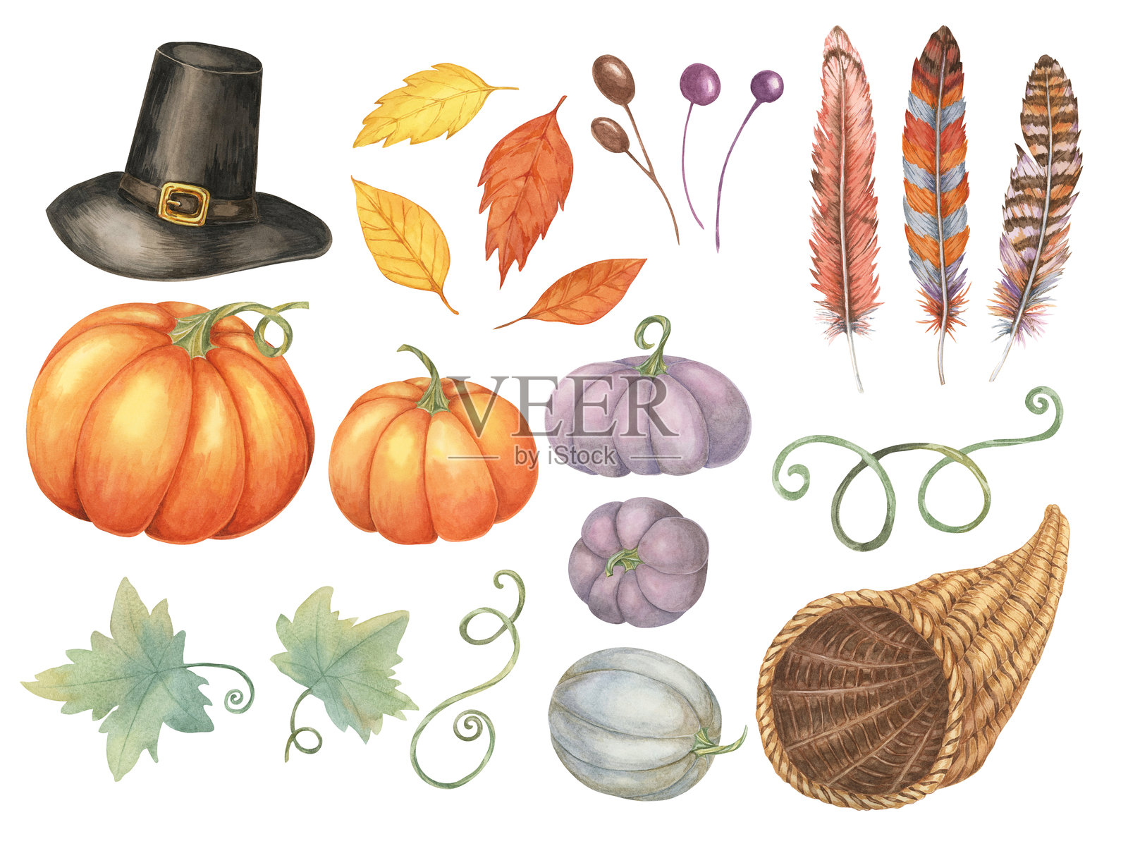 收集秋天的元素，包括南瓜，朝圣者的帽子，羽毛和树叶。创建感恩节邀请的水彩剪贴画集插画图片素材