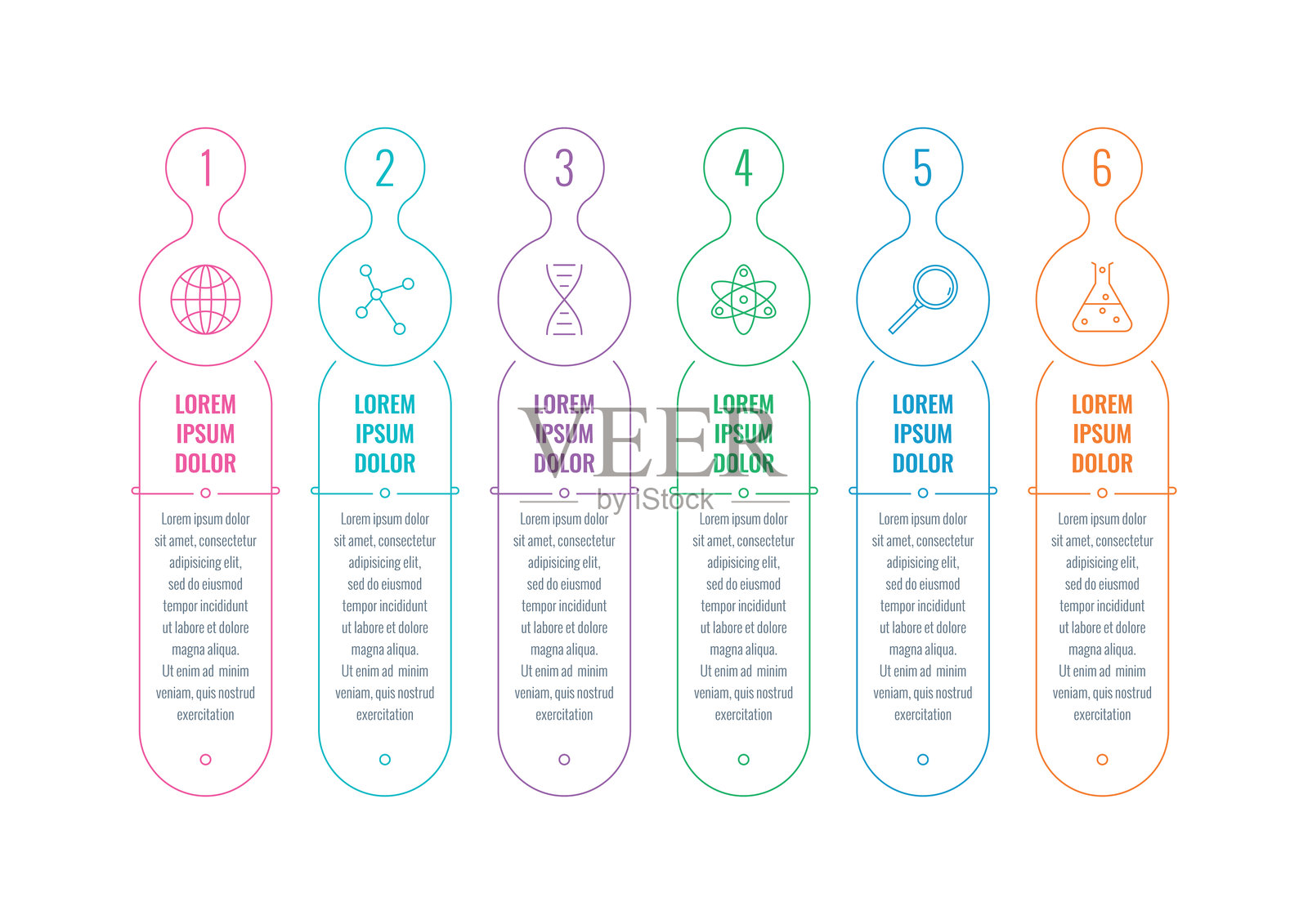 垂直椭圆形信息模板与六个选项。椭圆形业务，互联网，网络信息图表模板插画图片素材