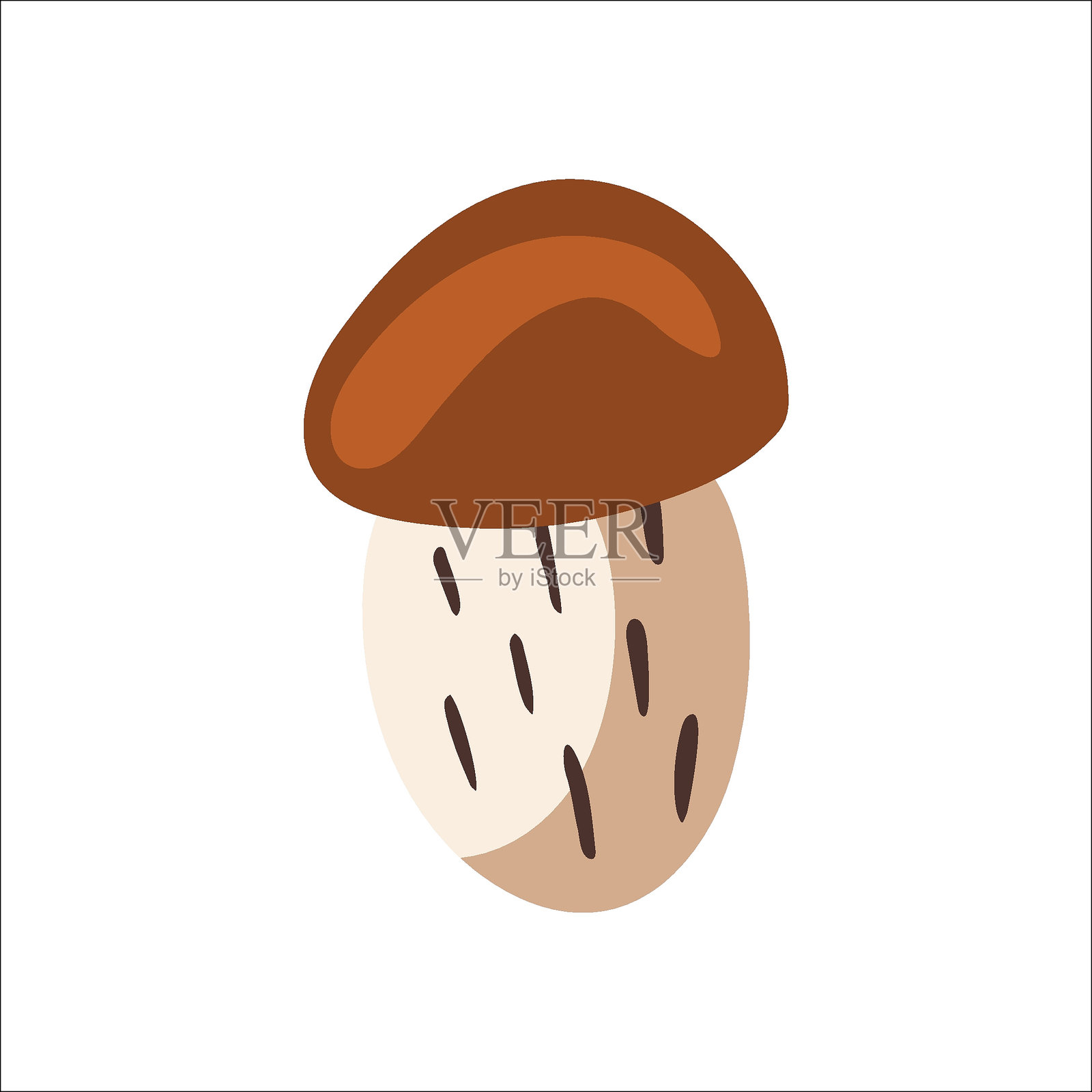 向量孤立元素。可食用的蘑菇。Orange-cap牛肝菌属菌类。秋天的时间。白色背景上的彩色图像。该印刷品用于包装设计。插画图片素材