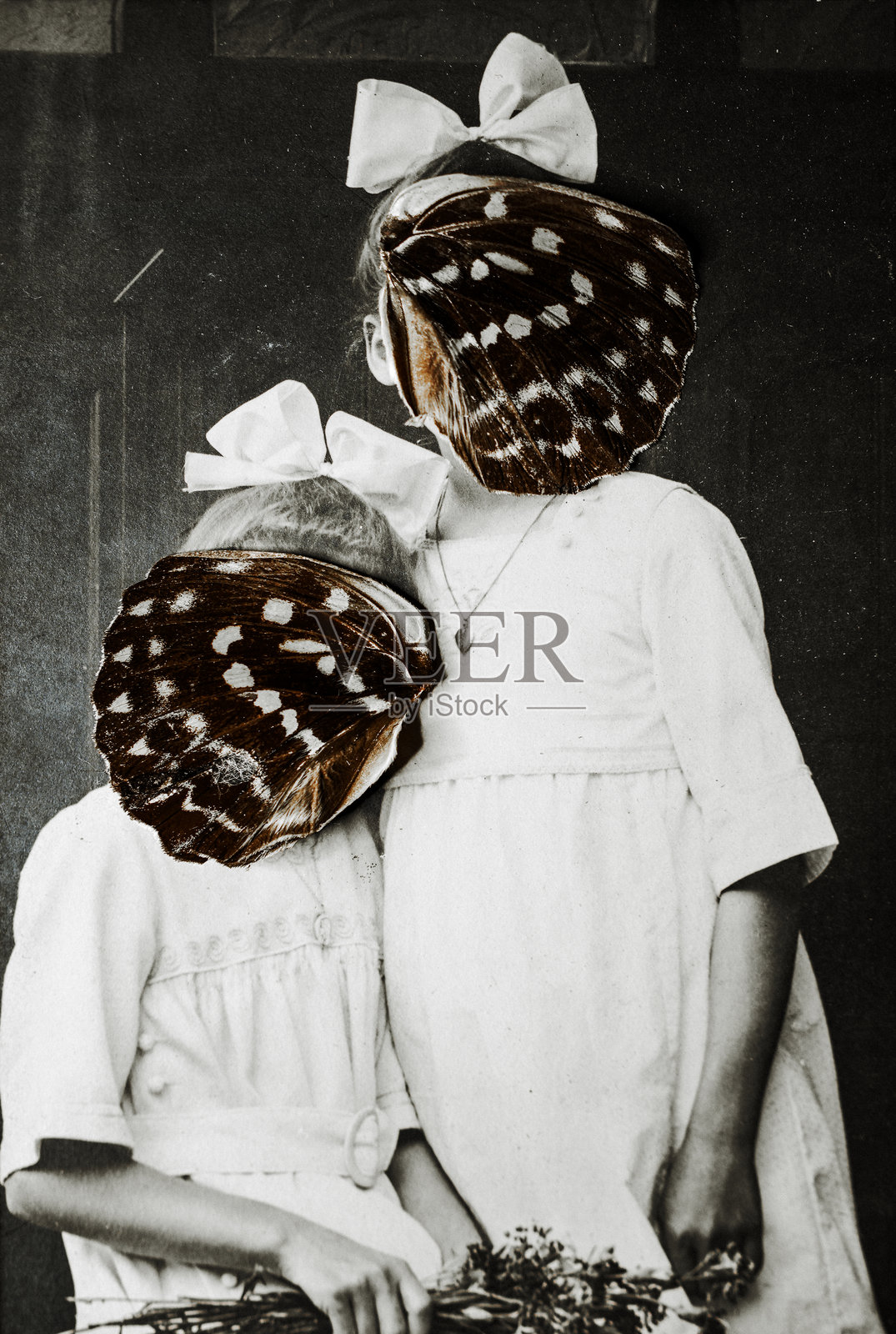 姐妹们不见了——蝴蝶扇动翅膀把她们带走了。照片摄影图片