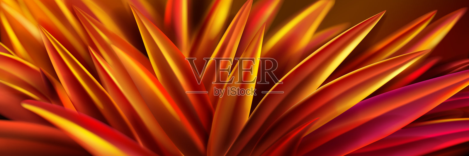 植物上鲜艳的橙色叶子。插画图片素材