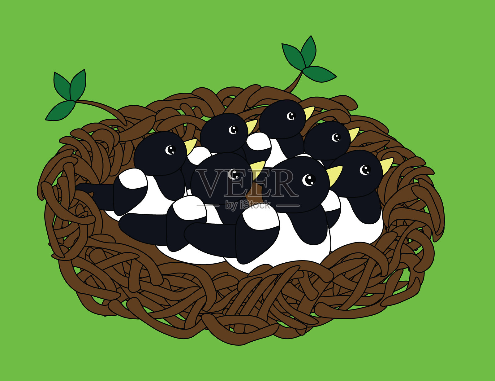 喜鹊雏鸟在绿色背景上的巢里插画图片素材