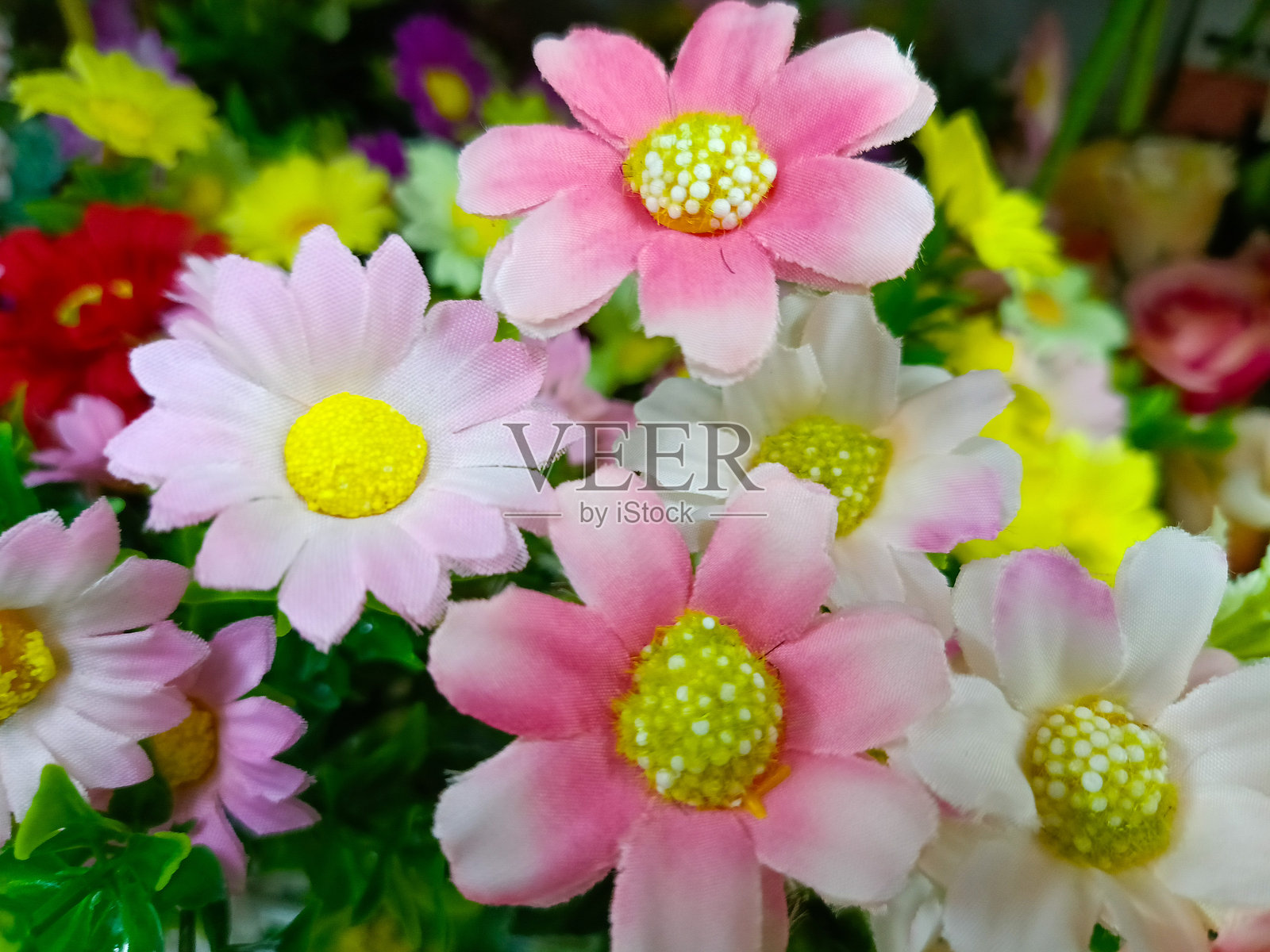 色彩艳丽的人造花，适合家庭室内装饰。照片摄影图片