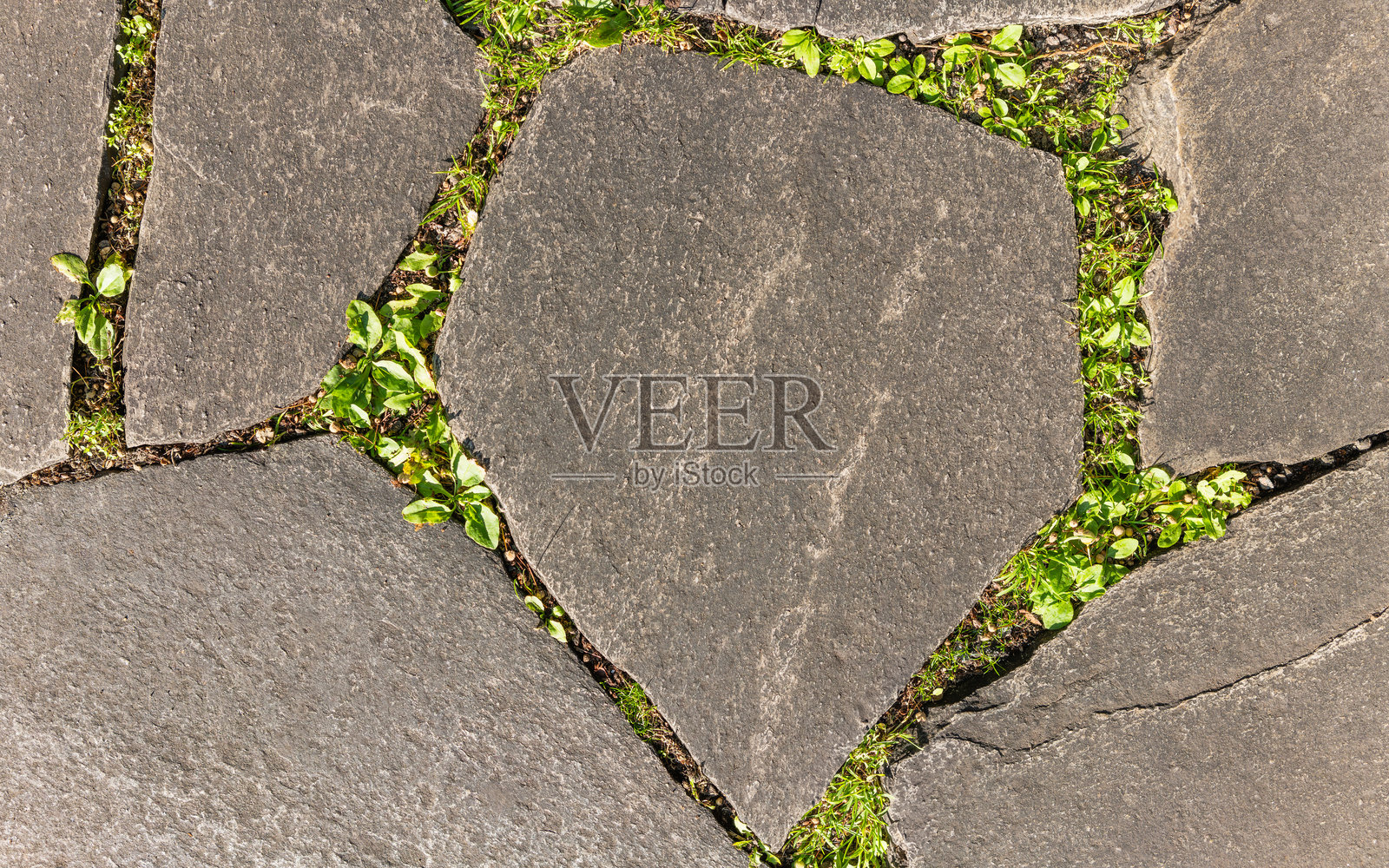 人行道上的瓷砖中间铺着绿草。照片摄影图片