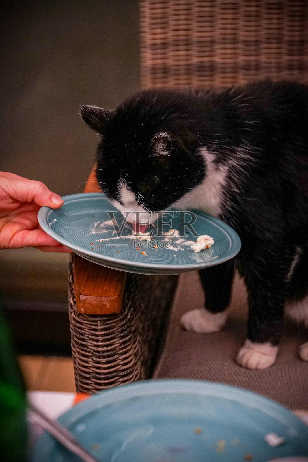 美味的照片摄影图片