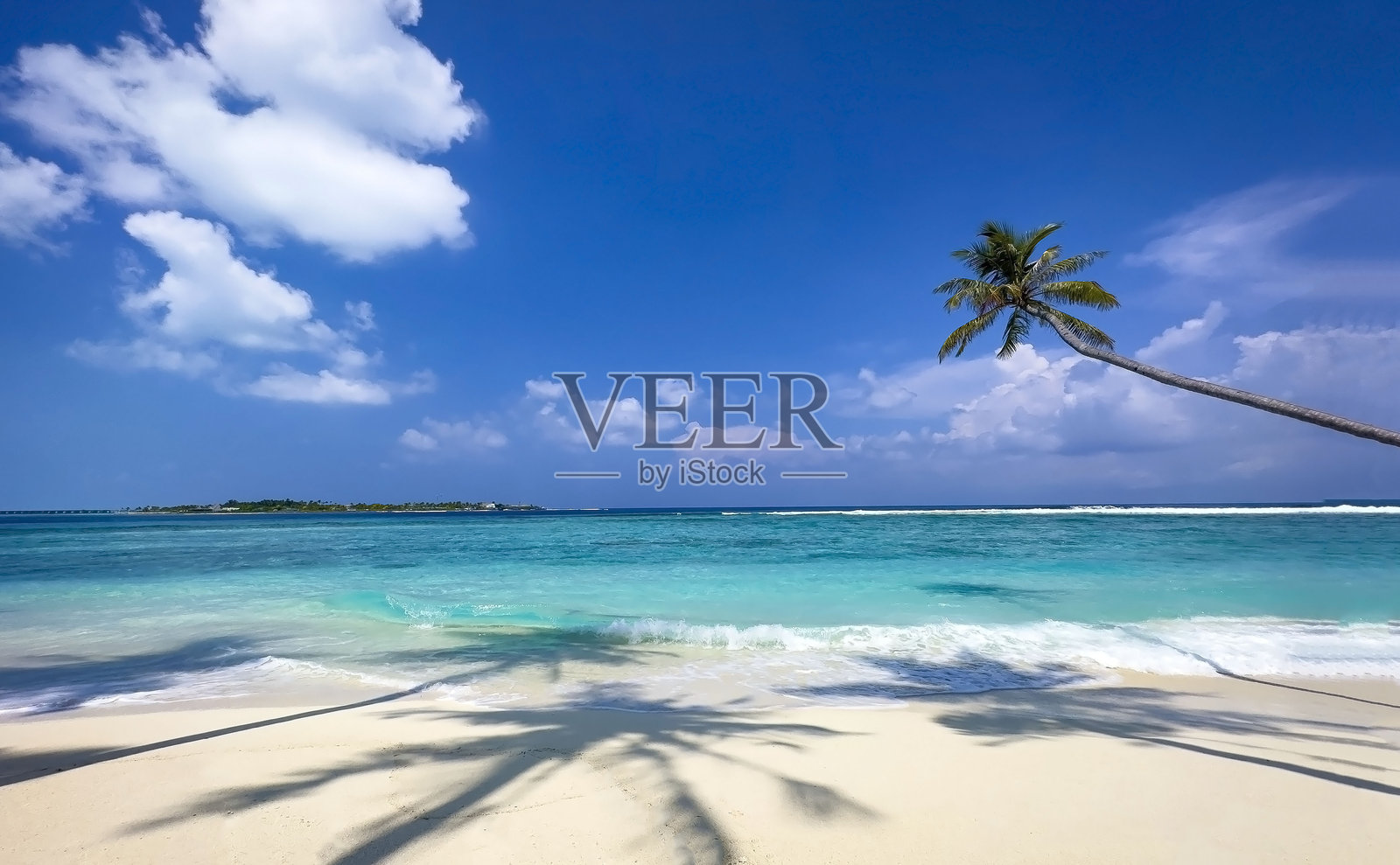 抽象的热带海滩与水的波浪和椰子树的阴影在蓝色的背景。照片摄影图片