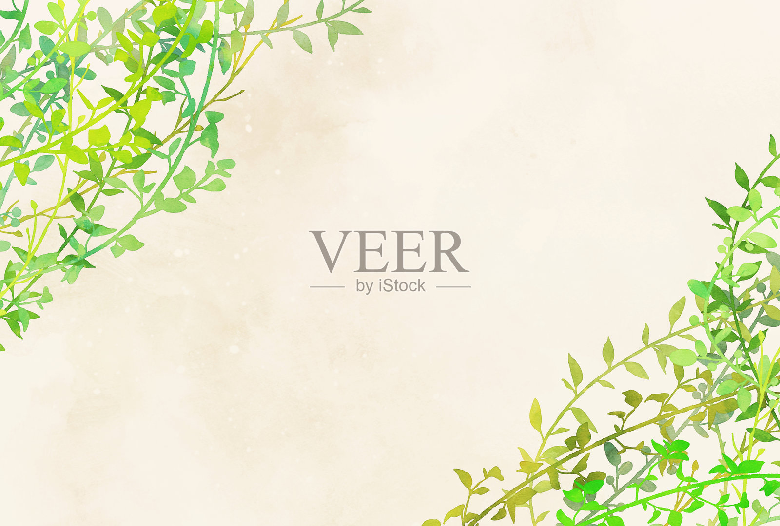 水彩画的树叶和常春藤插图插画图片素材