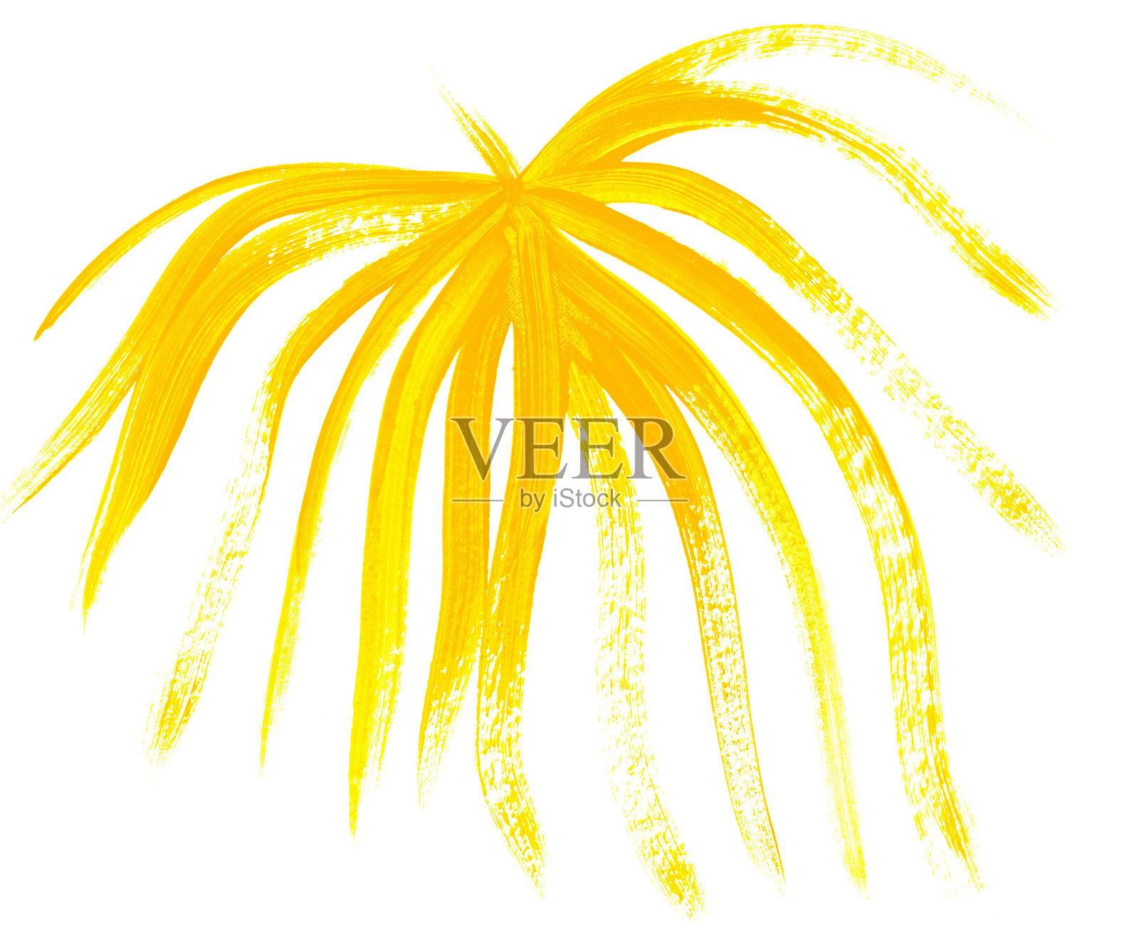 棕榈叶画在水粉与干刷孤立在一个白色的背景插画图片素材