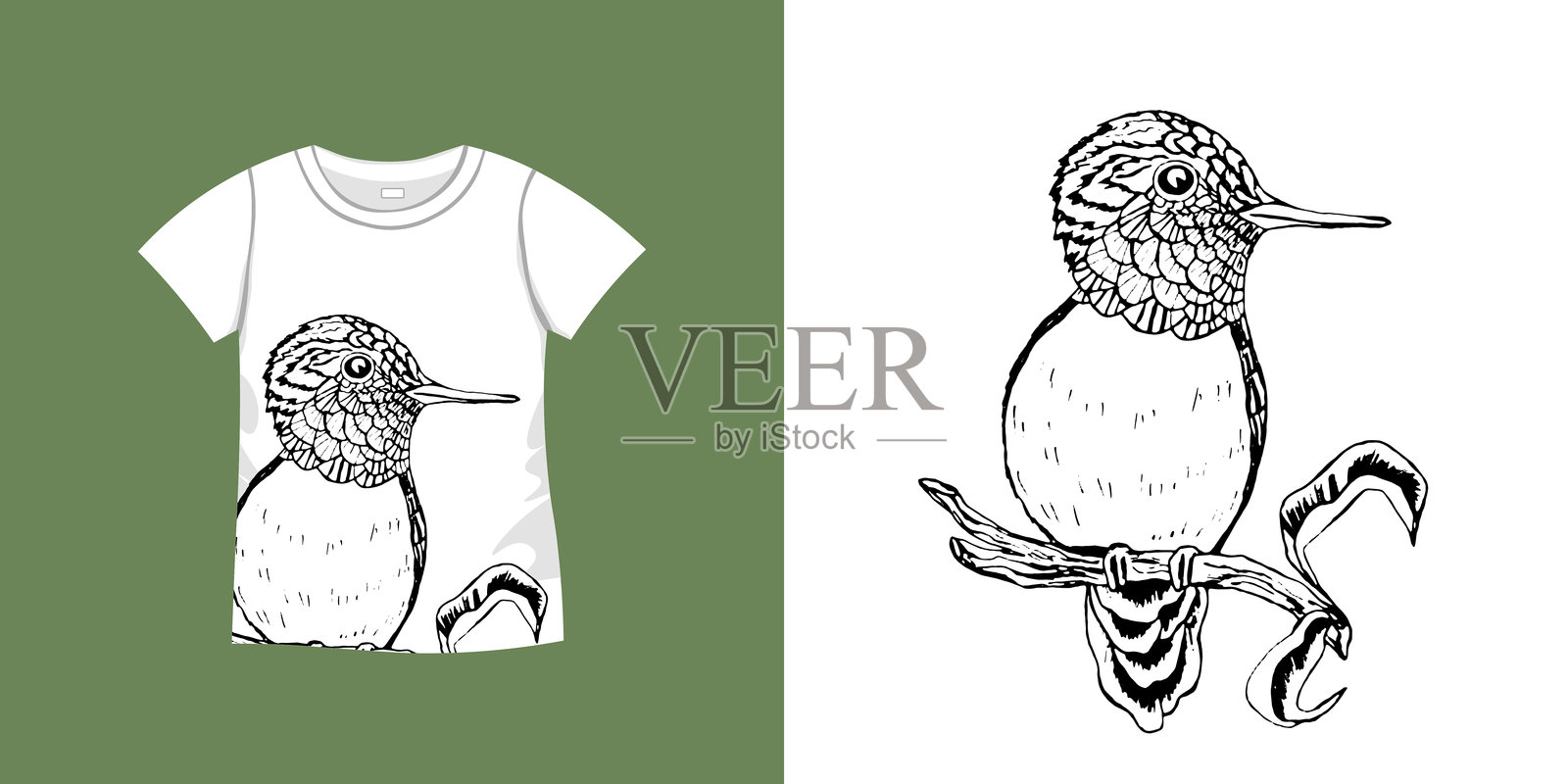 鸟图案t恤。女式针织衫，运动制服套装，短时尚上衣，圆领衬衫。示意图说明。模板模拟插画图片素材