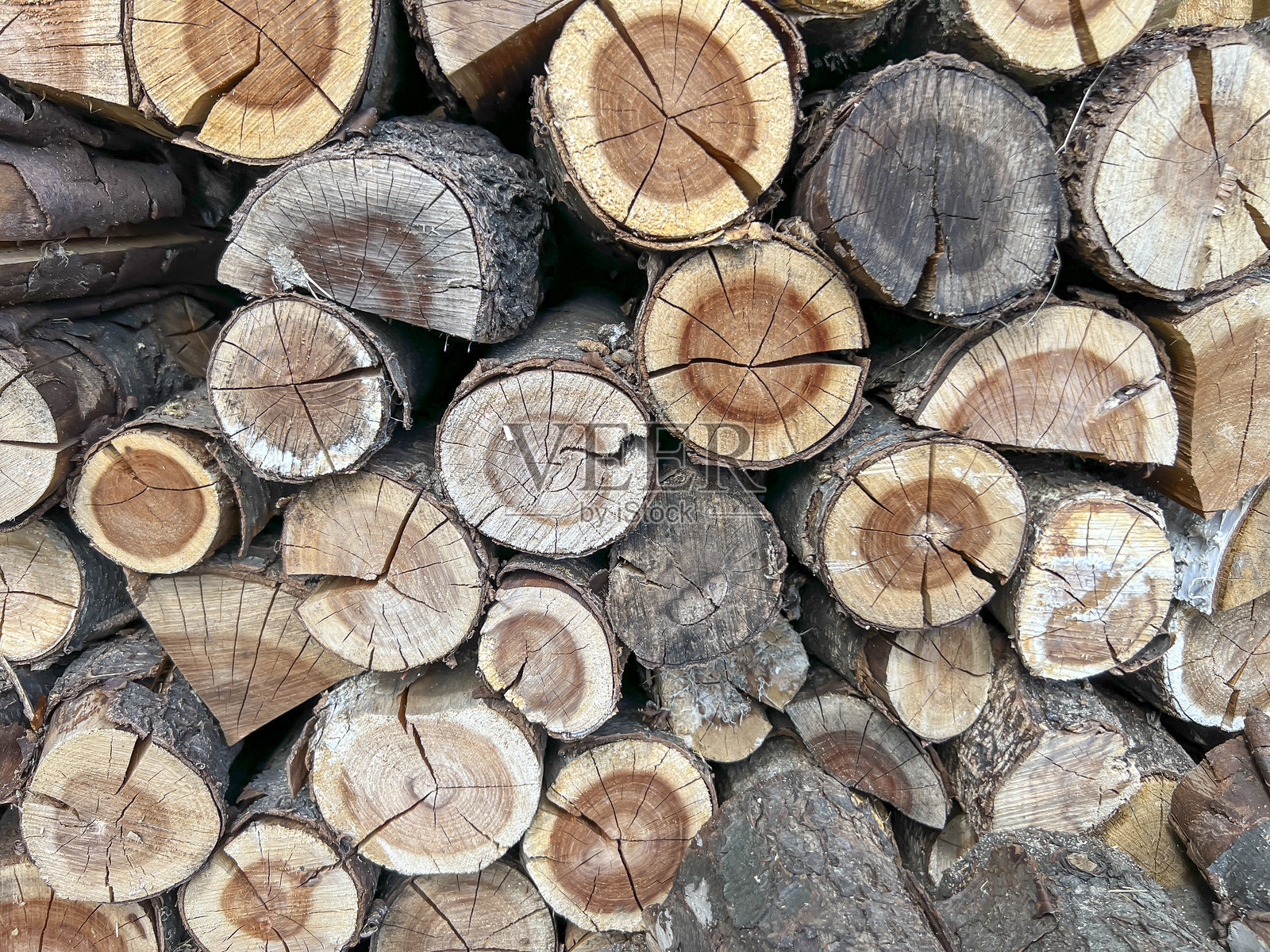 鸟樱桃木:将鸟樱桃木切开并整理，晾干，用作壁炉的柴火。背景照片摄影图片