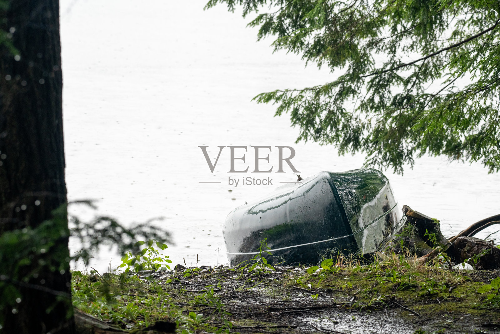 雨下的独木舟在森林的湖边照片摄影图片