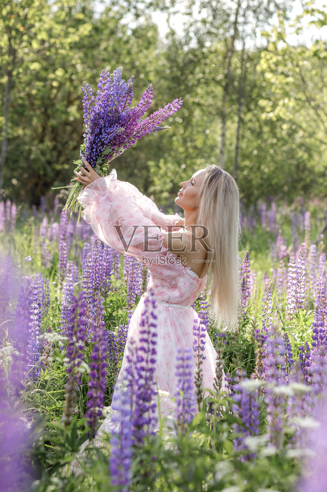 美丽的女孩，金色的头发，粉红色的长裙，在一个盛开的紫色羽扇豆花的田野里，她手里拿着一束花照片摄影图片