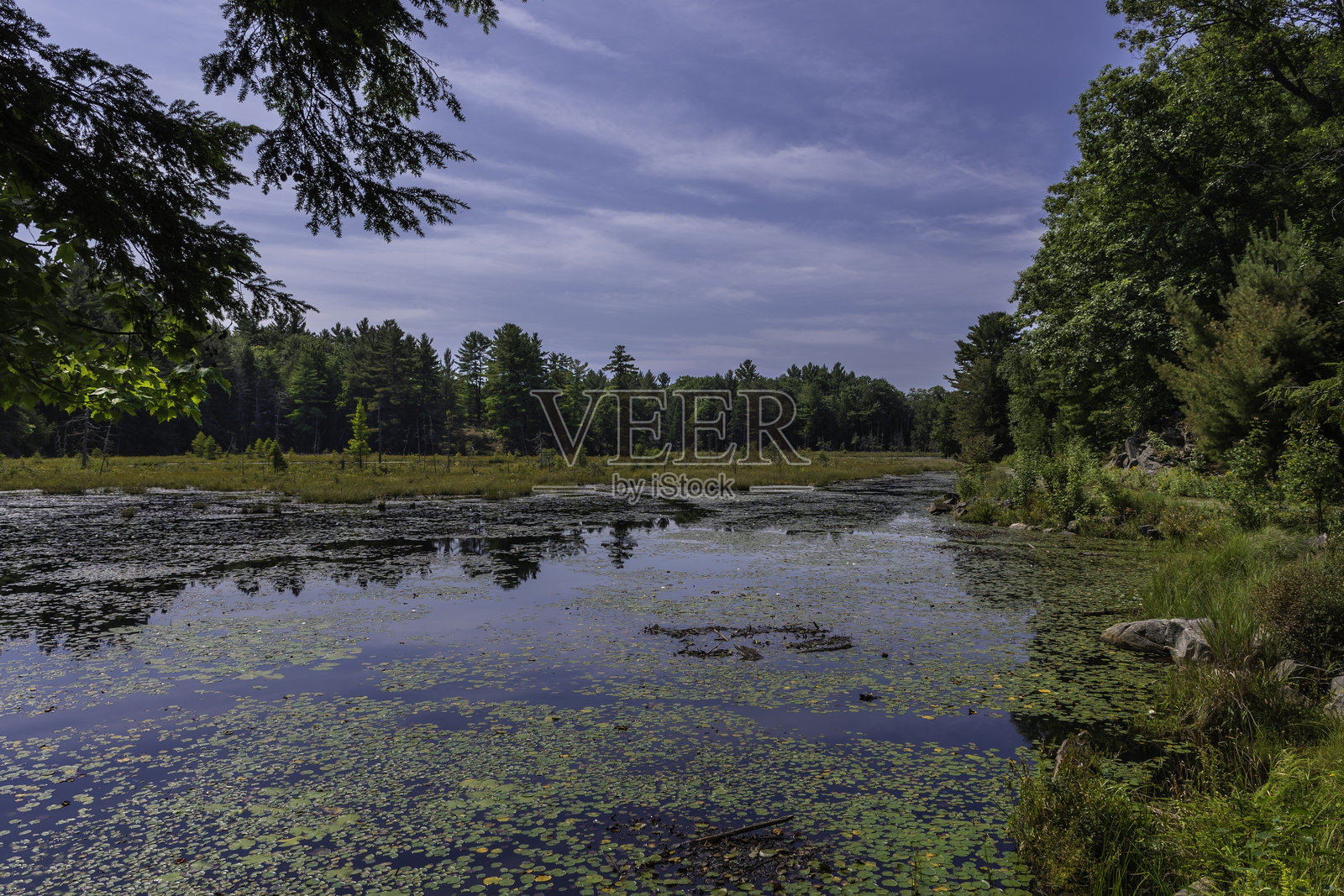 安大略省马斯科卡的骷髅湖。照片摄影图片