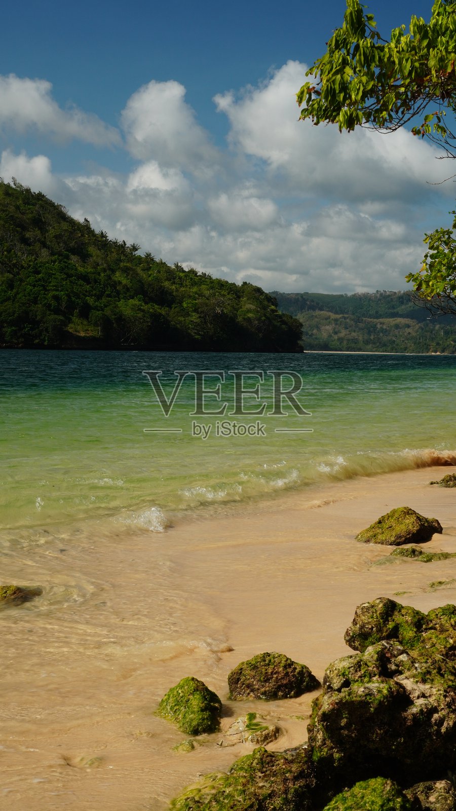 绿色海滩景观照片摄影图片