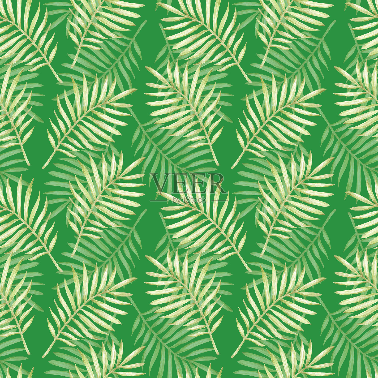 手绘水彩绿色棕榈树叶无缝图案隔离在绿色背景。可用于纺织、织物等印花产品。插画图片素材