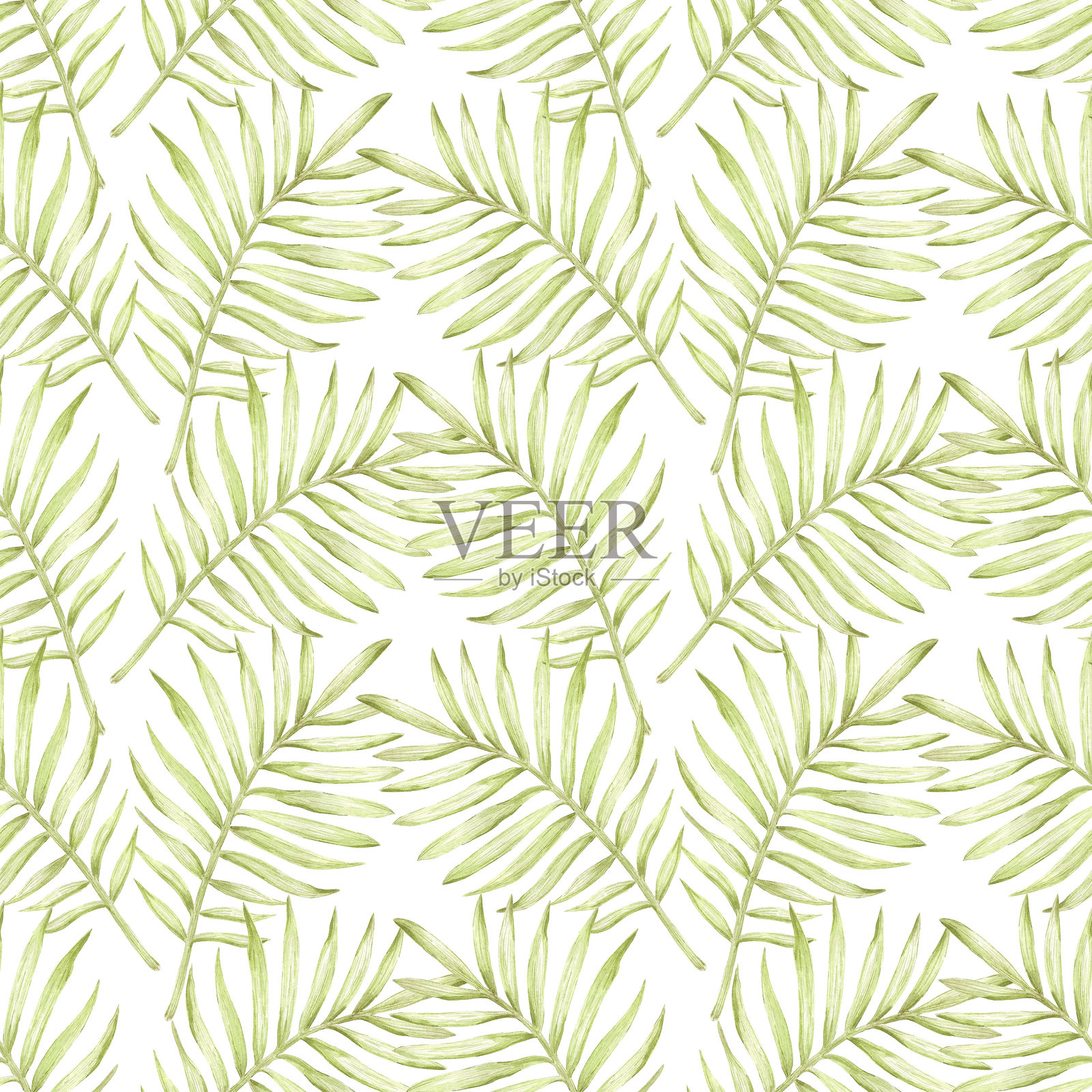 手绘水彩绿色单色棕榈树叶无缝图案隔离在白色背景。可用于纺织、织物等印花产品。插画图片素材