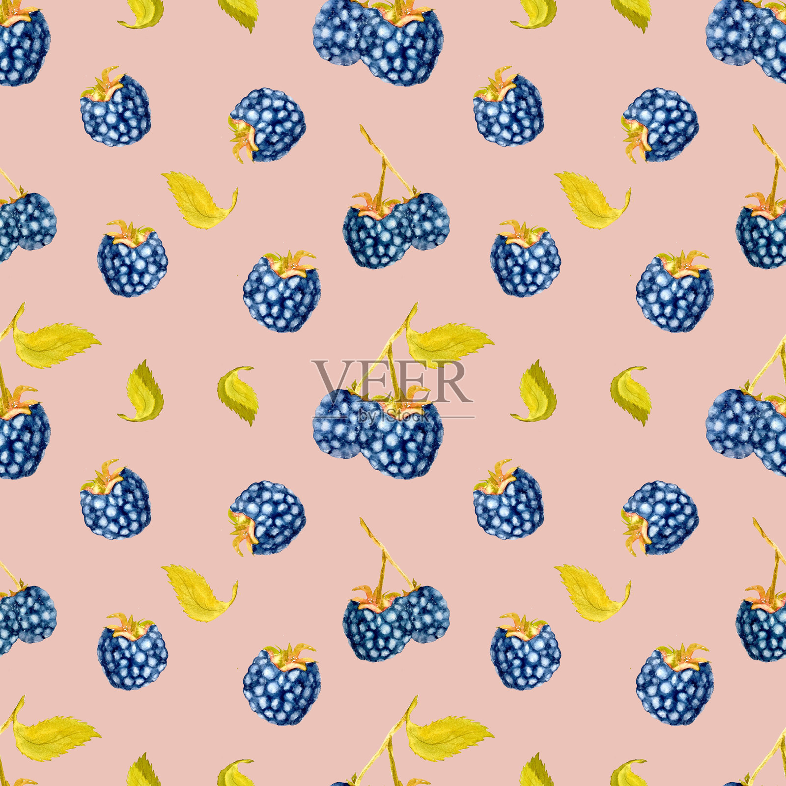 夏天的黑莓，花纹无缝。手绘，水彩画。彩色背景上的高分辨率图案。插画图片素材