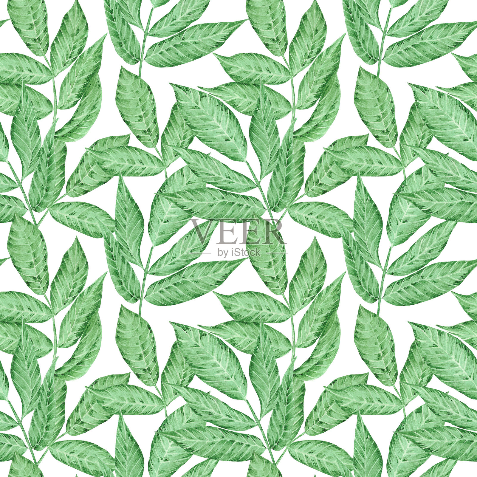 手绘水彩热带树叶无缝图案隔离在白色背景。可用于纺织、织物等印花产品。插画图片素材