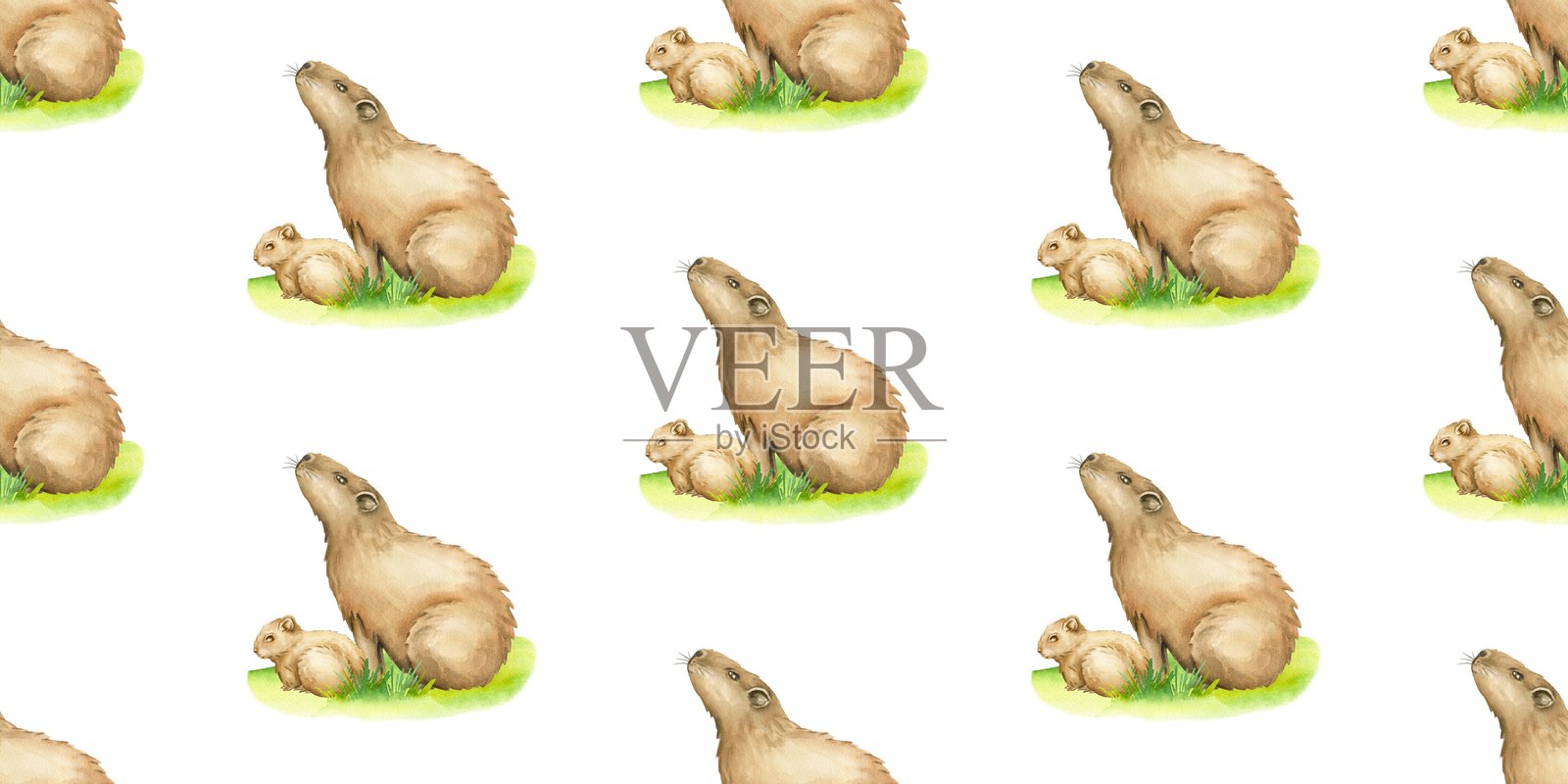 水彩无缝图案与水豚在透明的背景。水豚妈妈和水豚宝宝在草地上。插画图片素材