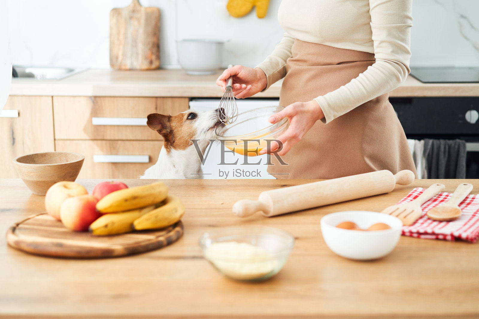 狗在厨房帮忙照片摄影图片