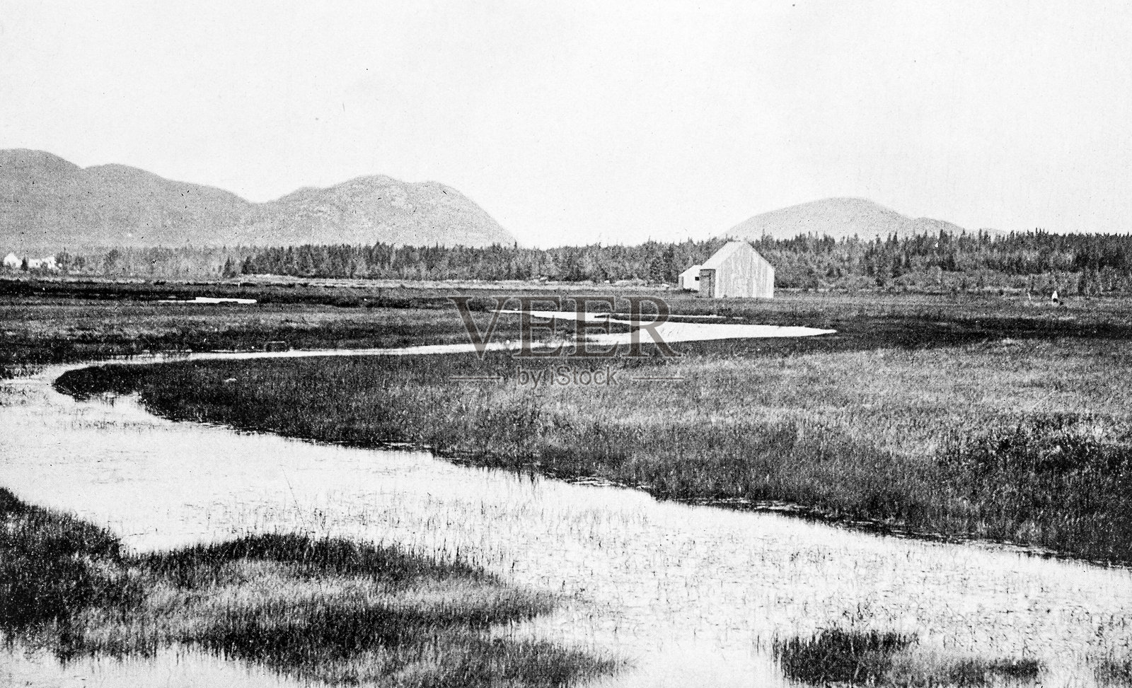 古董照片:Mount Desert Island和Massachusetts Meadow插画图片素材