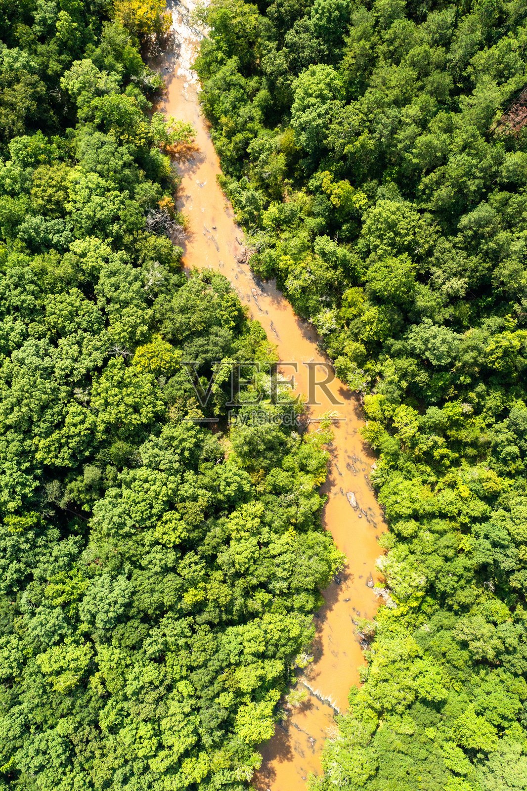 阿拉巴马州奥本农村的无人机图像照片摄影图片