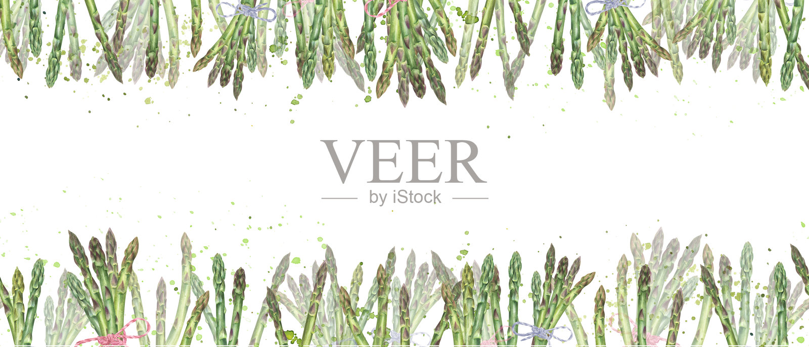 新鲜的绿色芦笋水彩水花和笔画水平框架。一束健康的麻雀草与红色或蓝色丝带和单株植物在绿色喷雾。前视图。文本的复制空间。插画图片素材