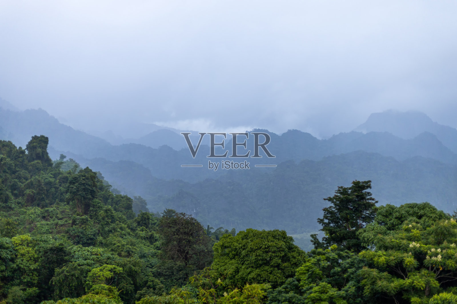 郁郁葱葱的青山，绿树成荫，雨后雾蒙蒙。照片摄影图片