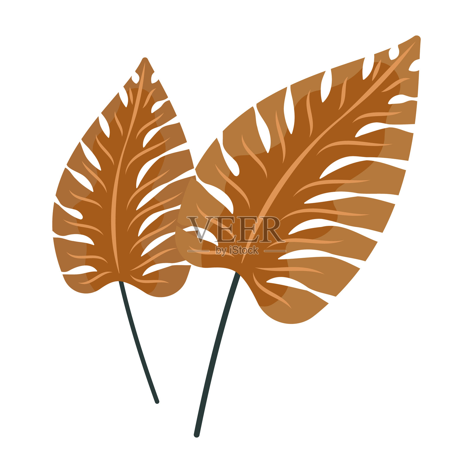 绘制插图秋叶为秋天秋季概念平面风格。白色背景插画图片素材