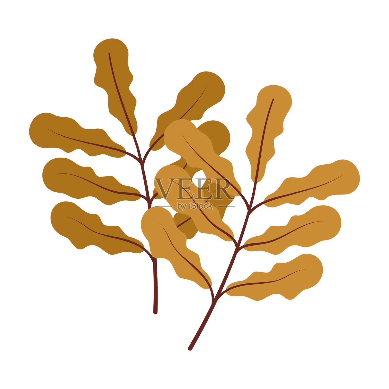 绘制插图秋叶为秋天秋季概念平面风格。白色背景插画图片素材