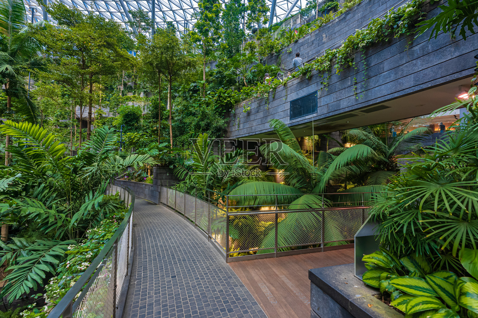 位于新加坡樟宜机场内的40米高的室内瀑布“雨漩涡”。旅游的概念照片摄影图片