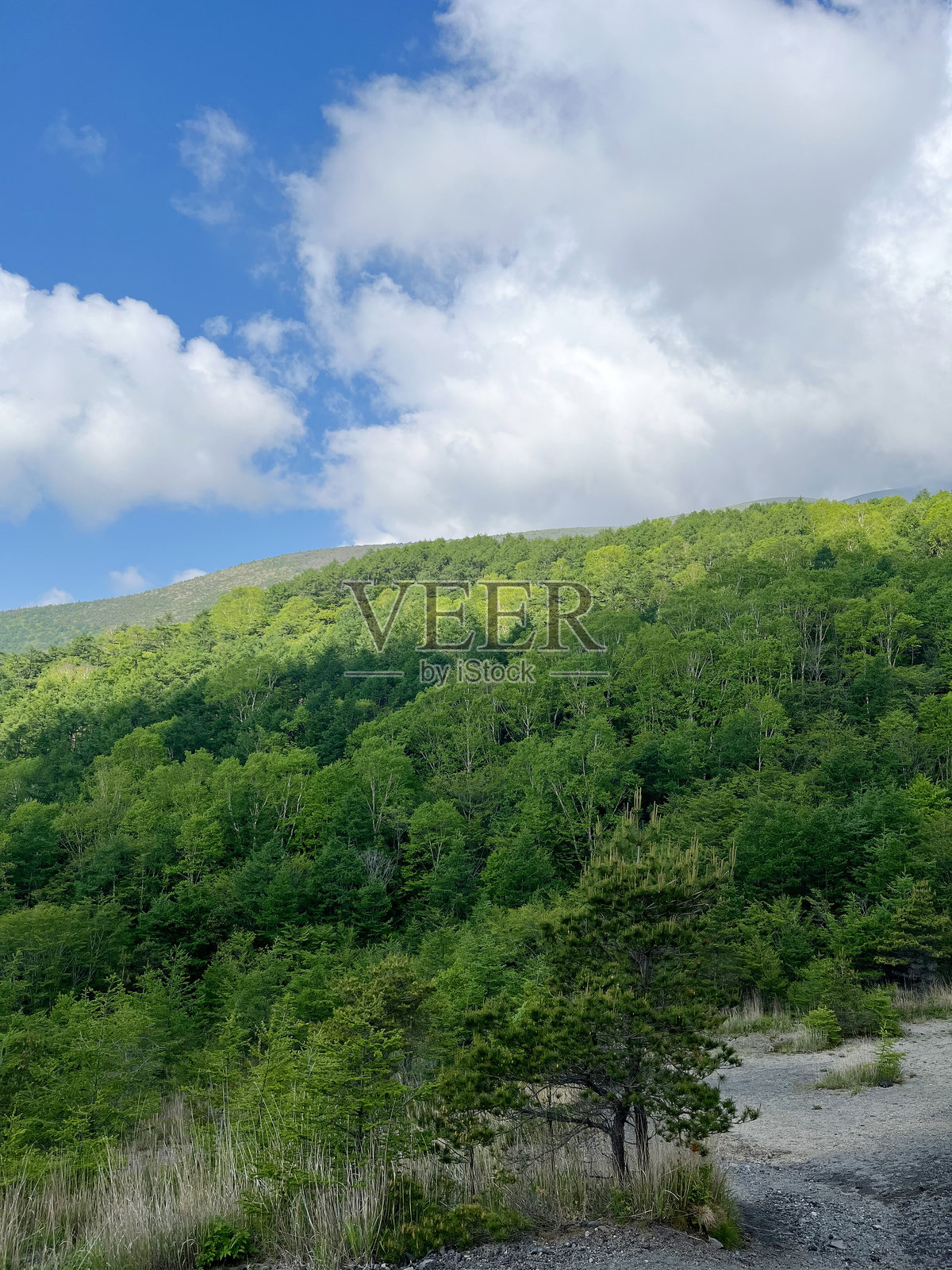 从山间小道看山景照片摄影图片
