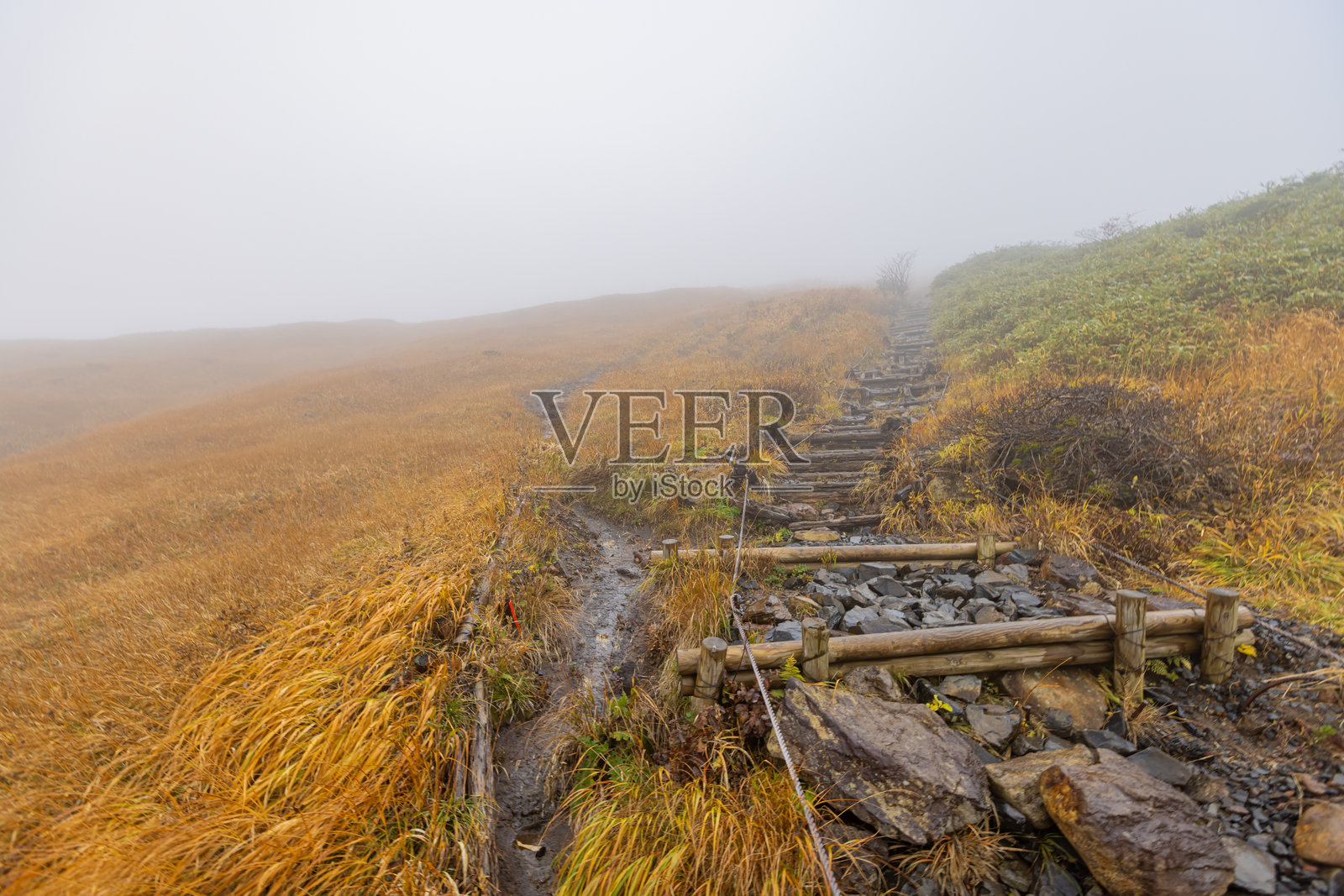 栗栗山:壮观的秋景照片摄影图片