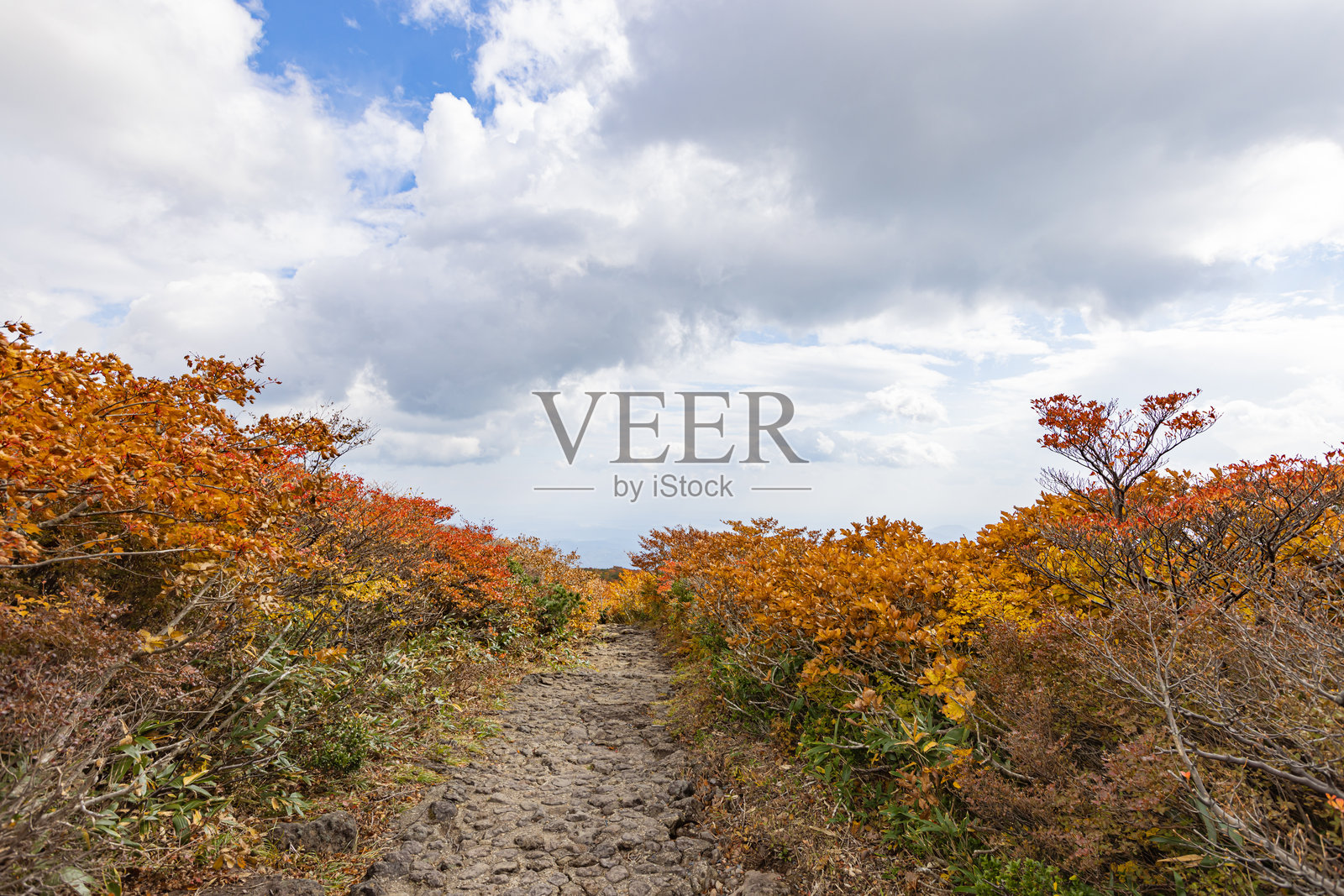 栗栗山:壮观的秋景照片摄影图片
