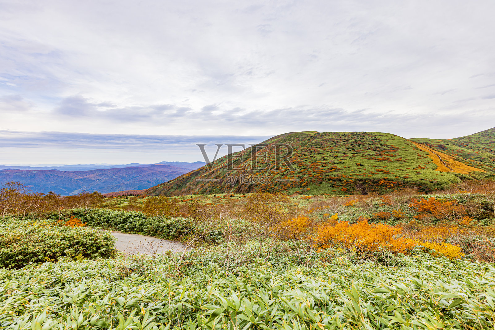 秋田县秋田山的秋叶景色照片摄影图片