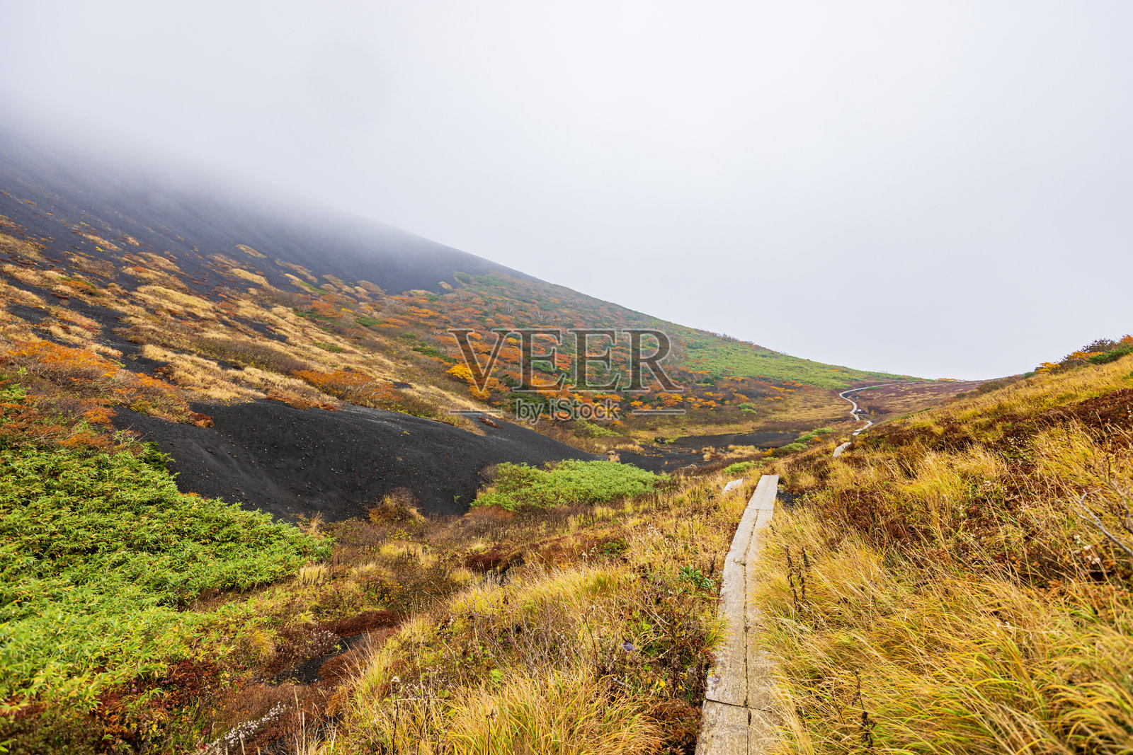 秋田县秋田山的秋叶景色照片摄影图片