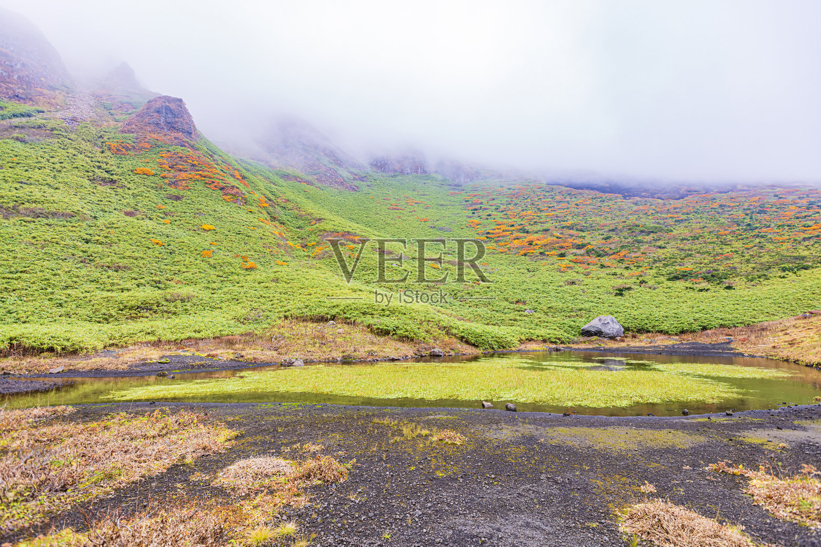 秋田县秋田山的秋叶景色照片摄影图片