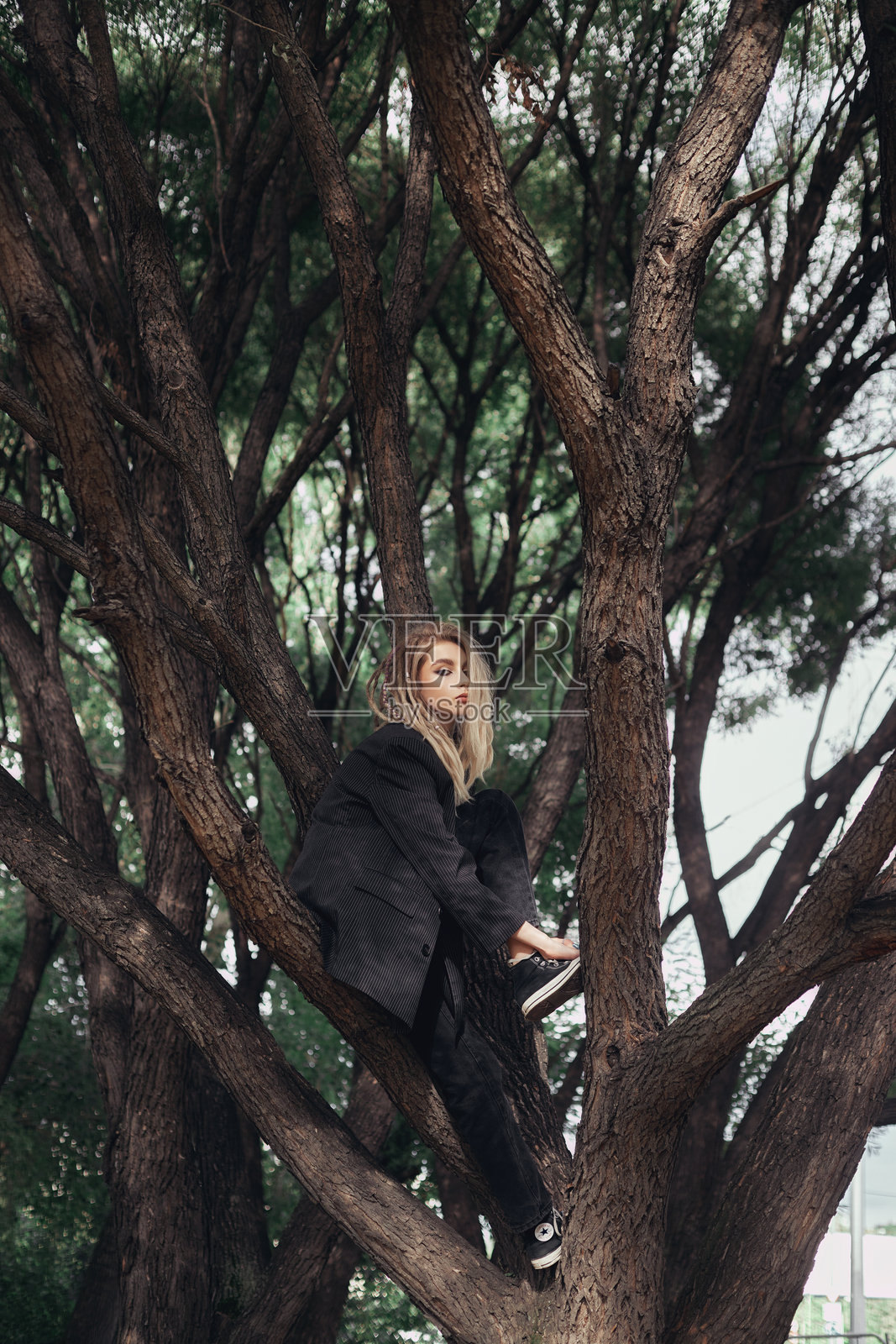 在一个阴天，一位年轻女子坐在树枝上。她穿着黑色的裤子和黑色的夹克。她的金发从夹克里露出来照片摄影图片