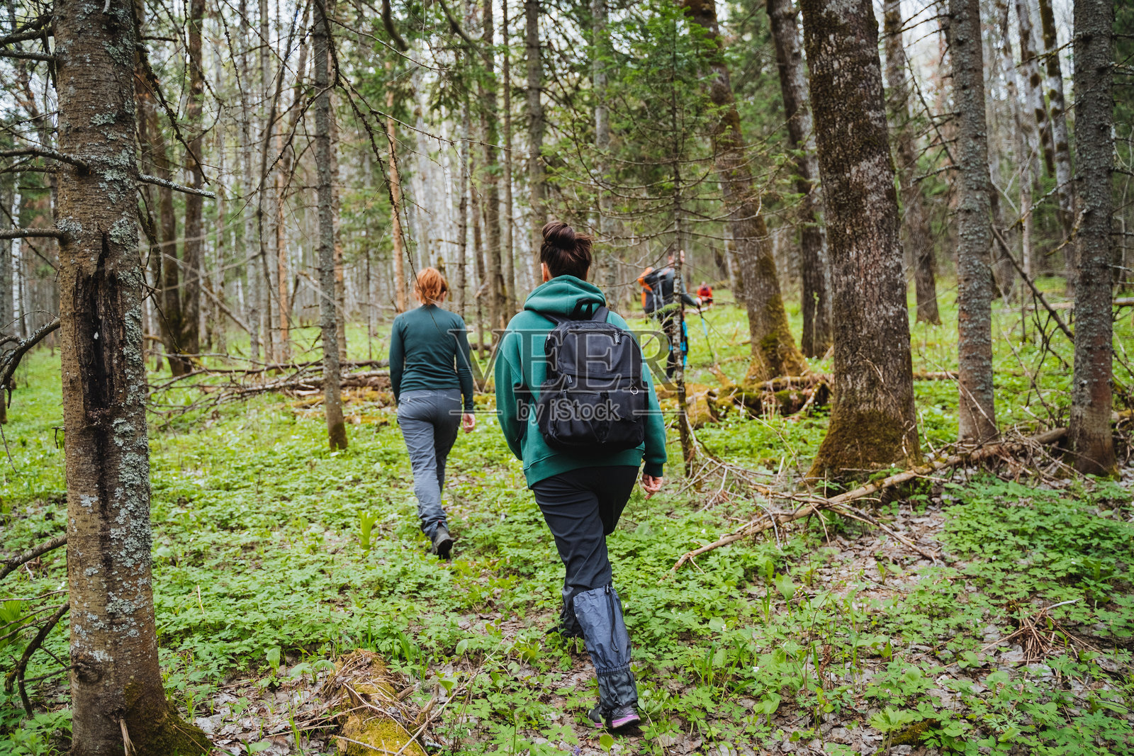 一群人在自然景观中的树木和绿色植物中散步照片摄影图片