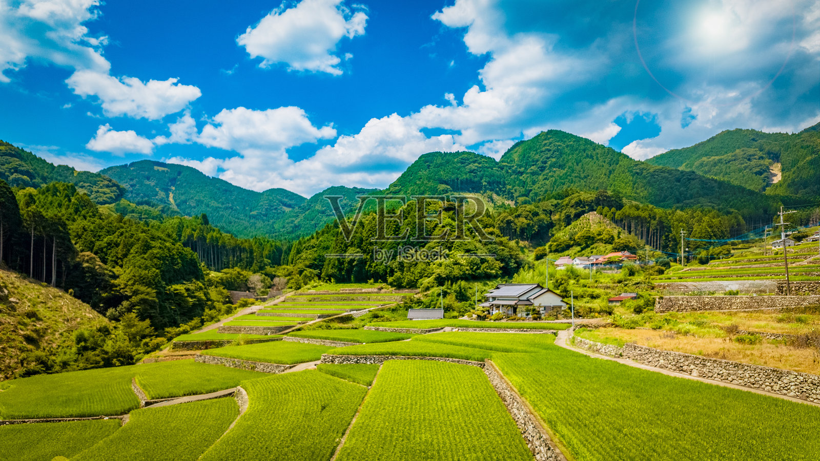 日本美丽梯田的航拍照片照片摄影图片