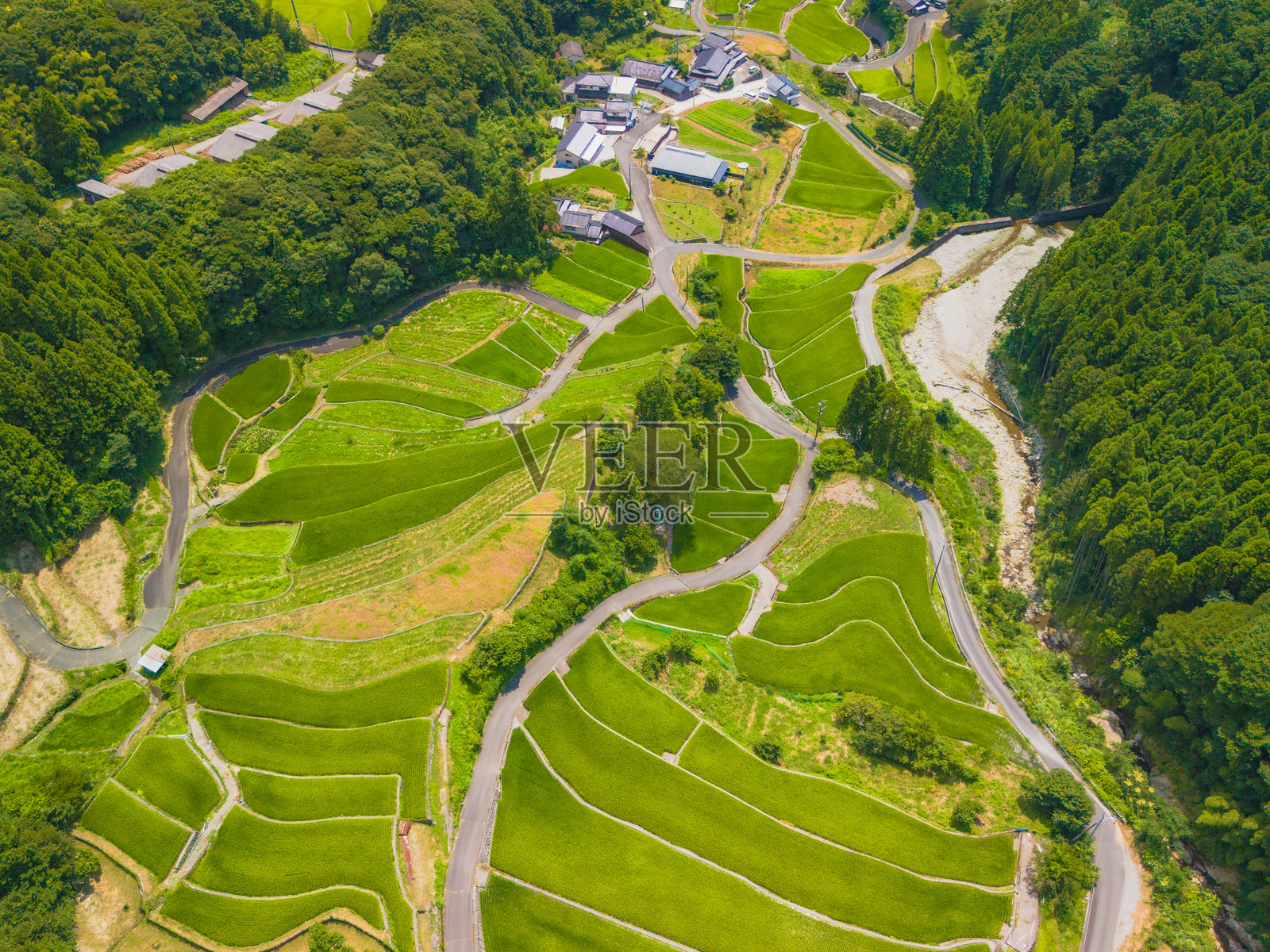 日本美丽梯田的航拍照片照片摄影图片