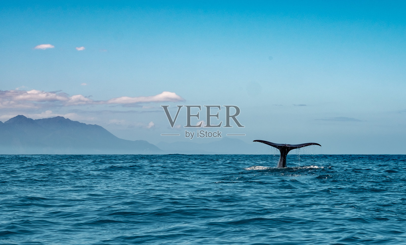 抹香鲸的尾巴映衬着美丽的山脉和天空照片摄影图片